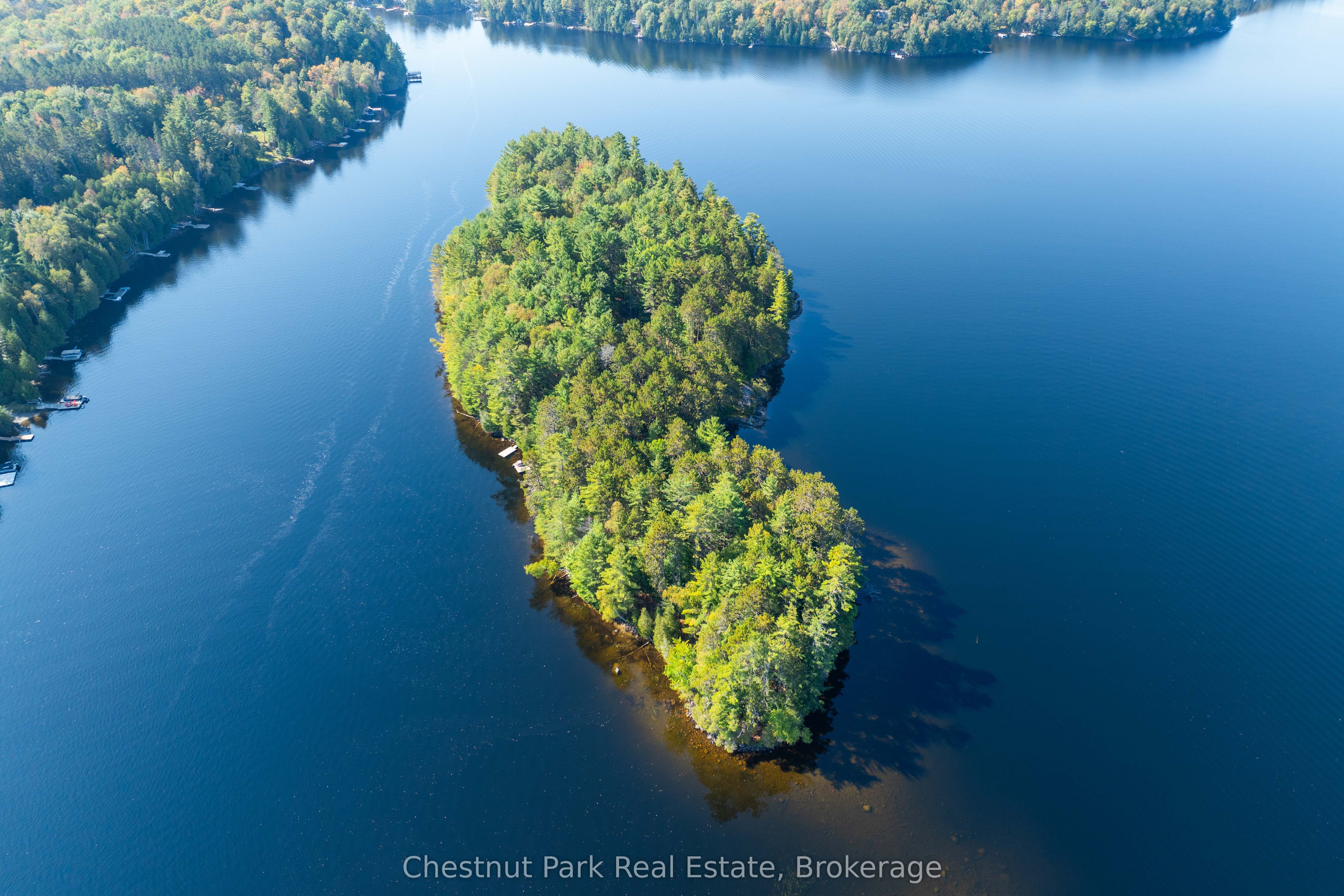 10000 Soyers - Brown Island Property Photo 29