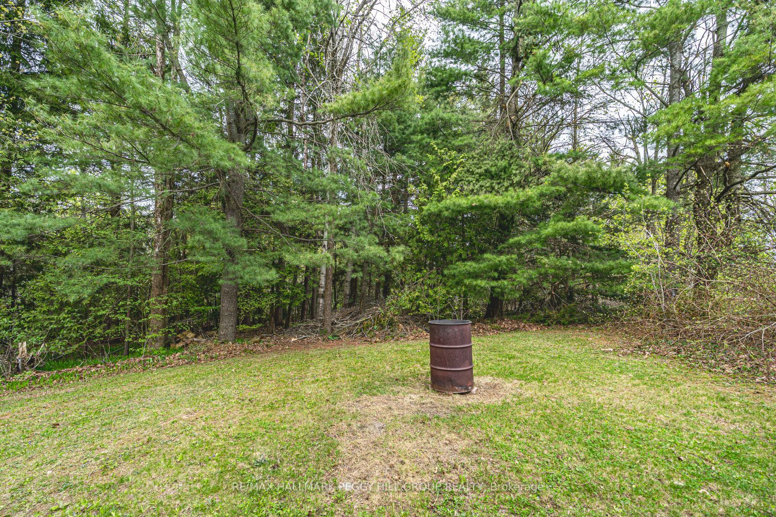 6 Mccutcheon Road Property Photo 21
