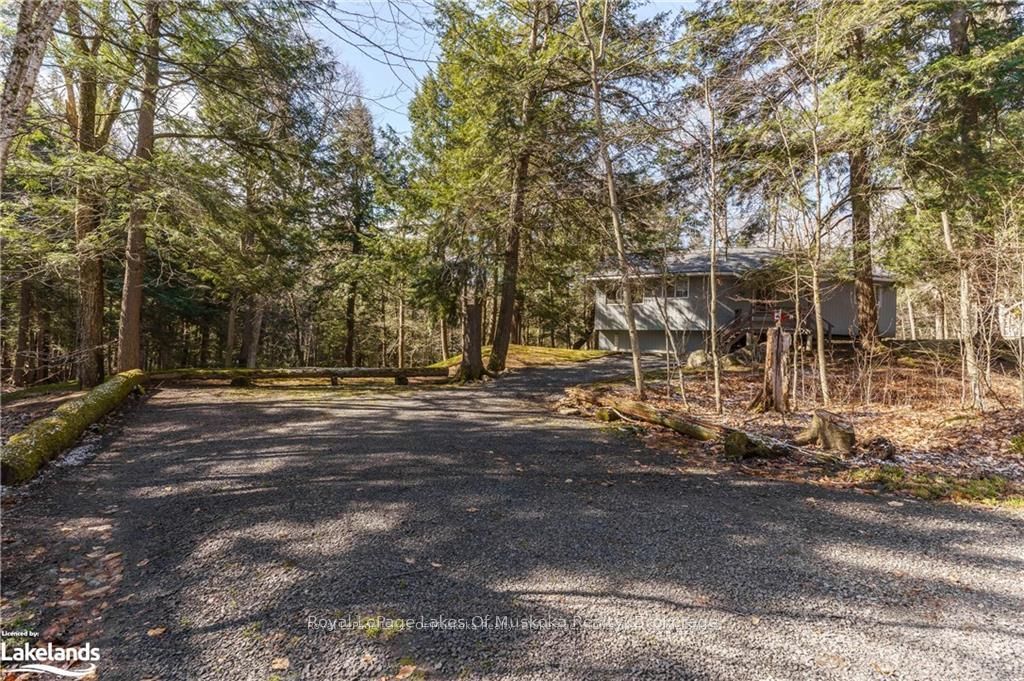 32 Maple Leaf Dr Property Photo 22