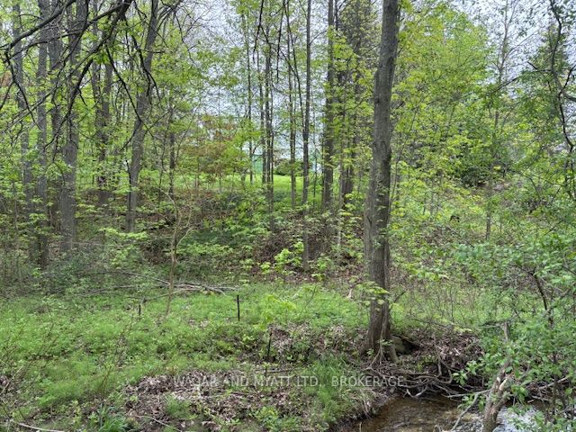 62-1 N County Road 8 Road N Property Photo 19