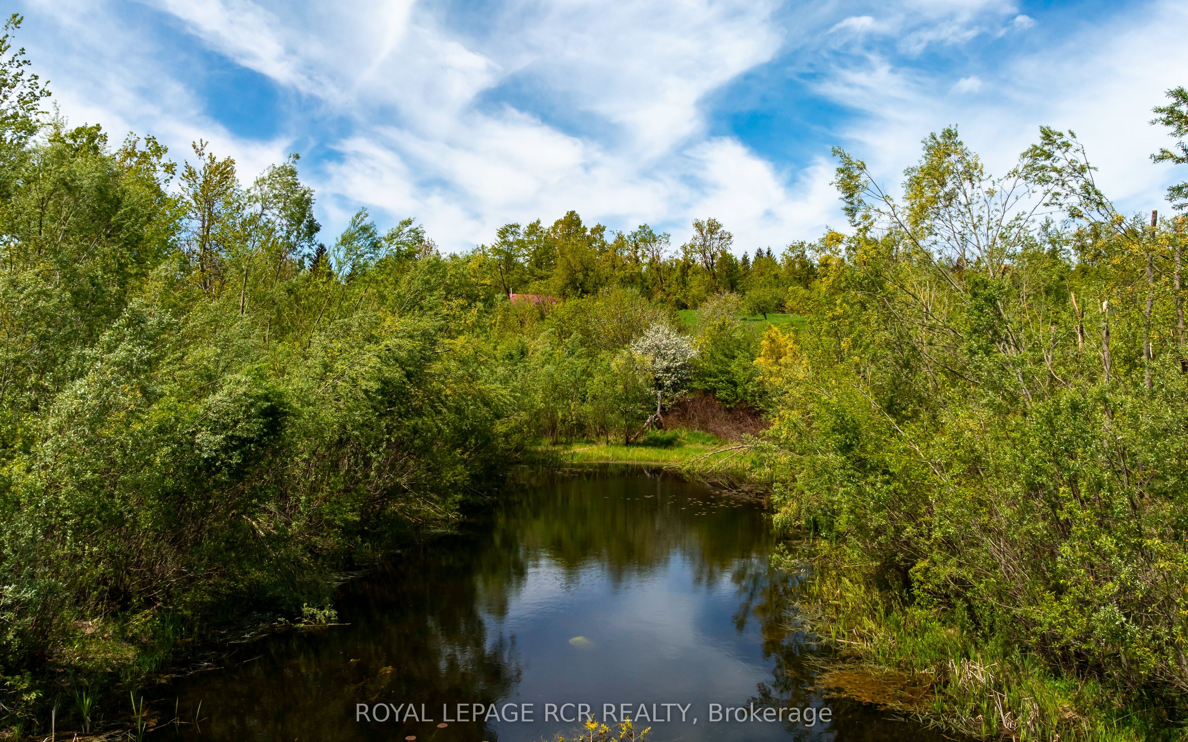 555463 Mono-amaranth Townline Property Photo 17