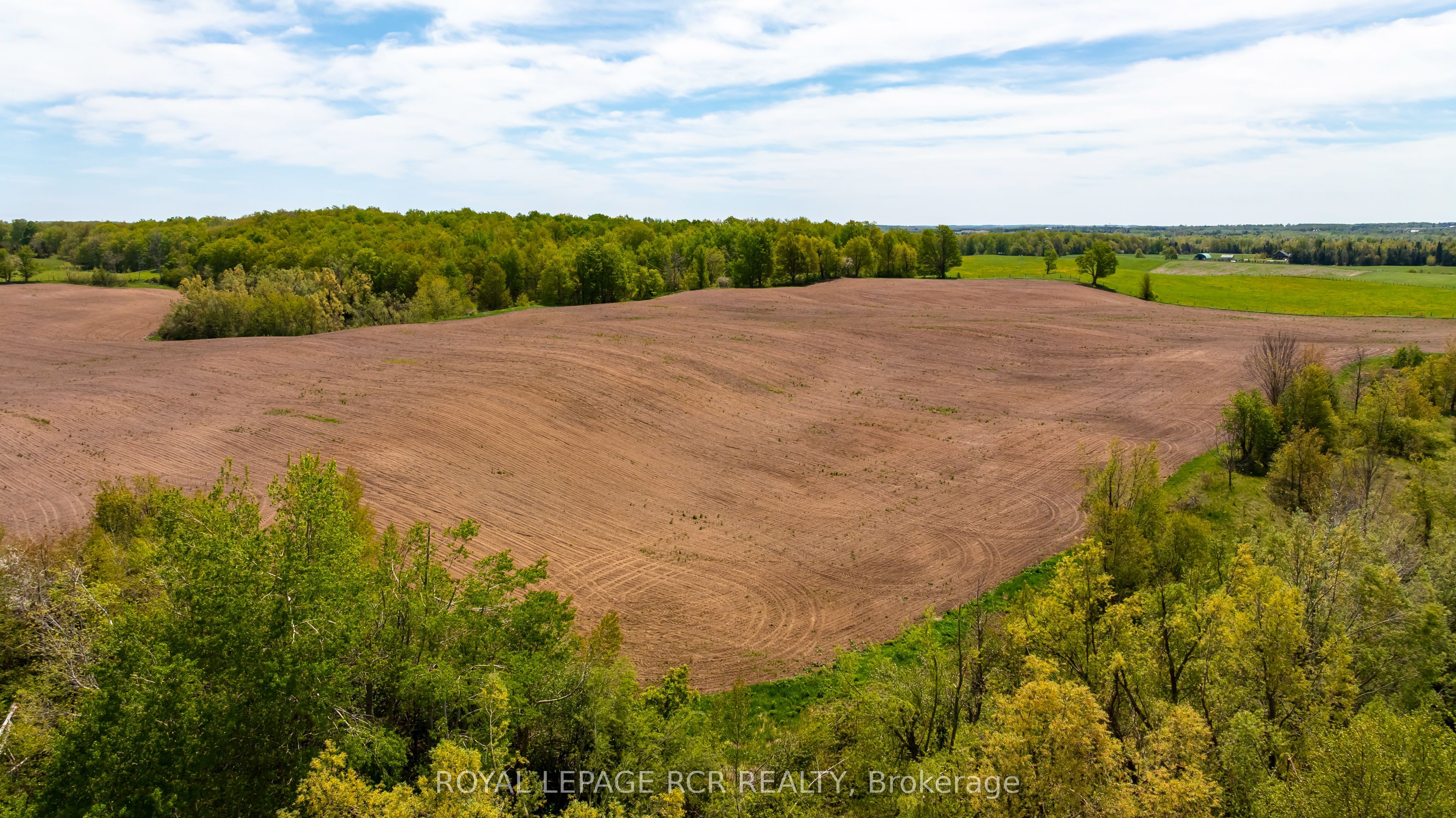 555463 Mono-amaranth Townline Property Photo 18