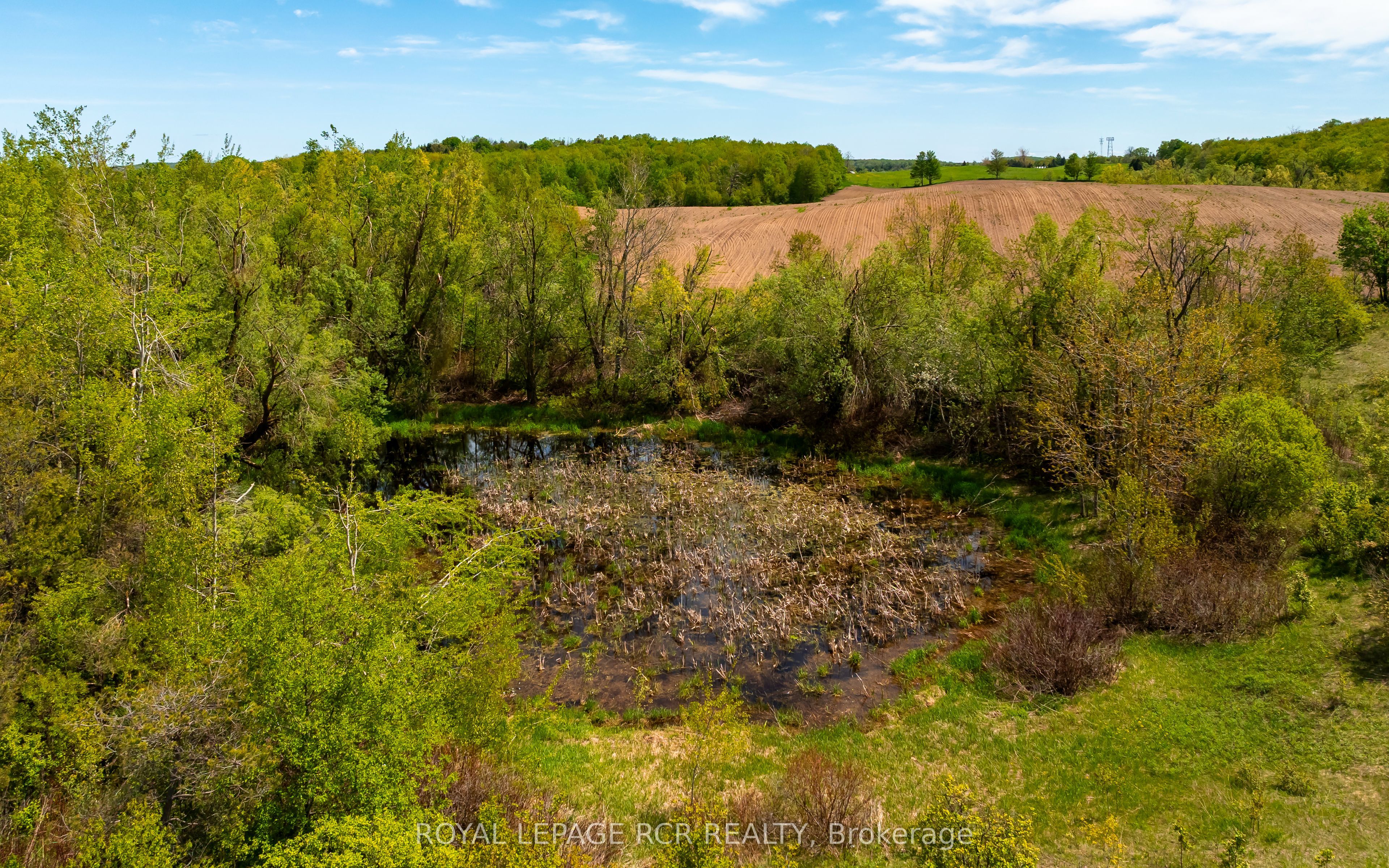555463 Mono-amaranth Townline Property Photo 19