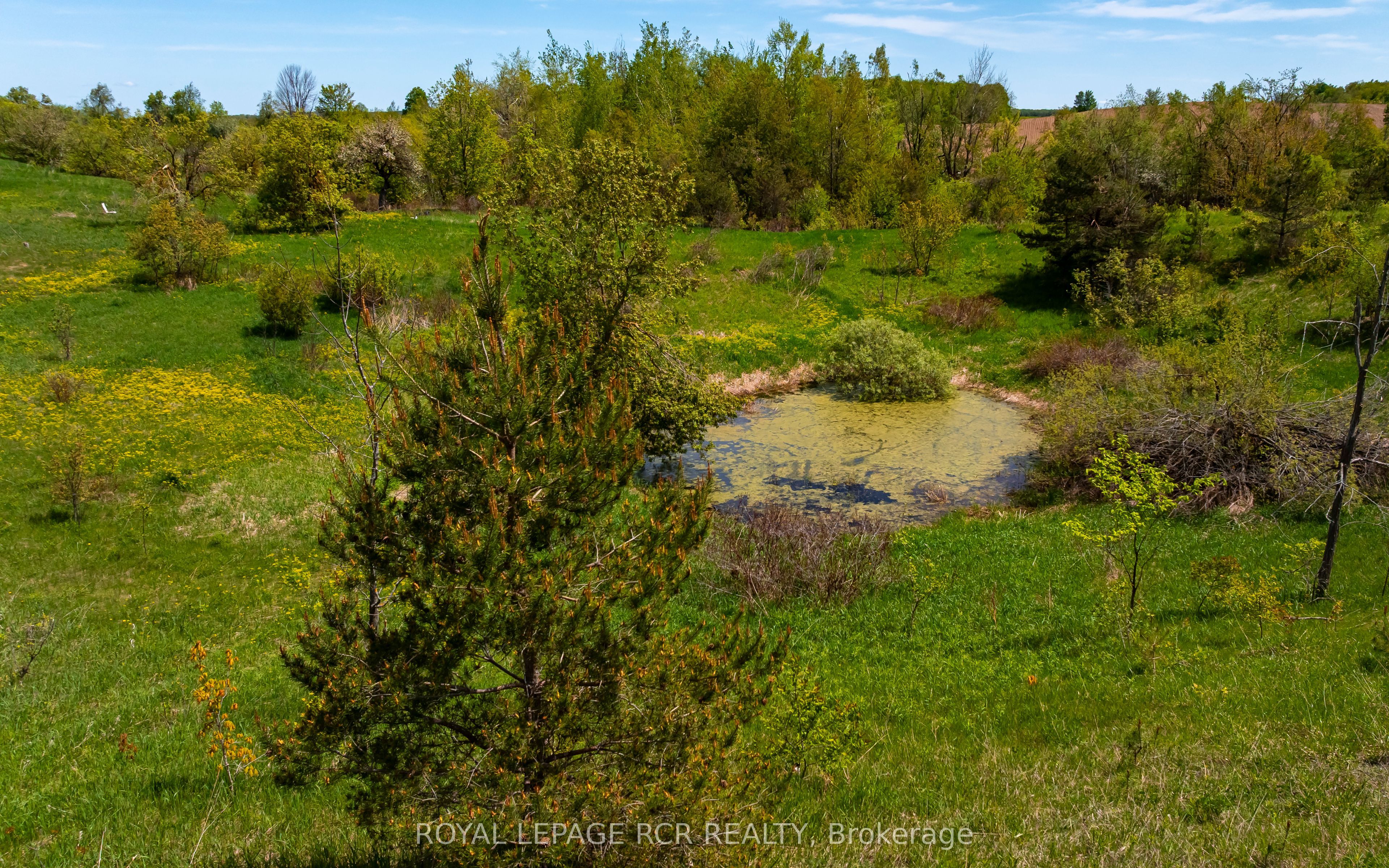555463 Mono-amaranth Townline Property Photo 21