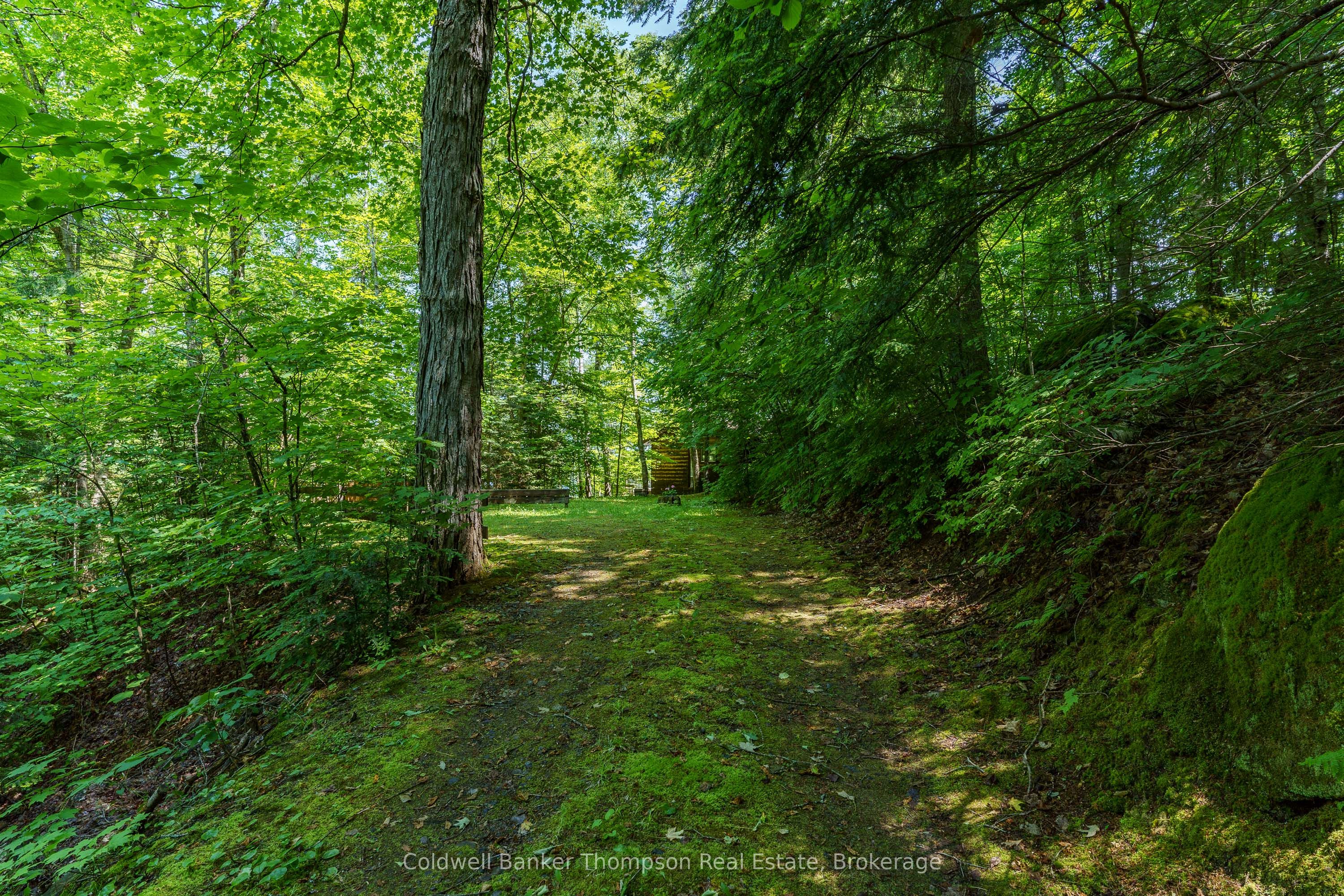 594 Hazard Hill Road Property Photo 12
