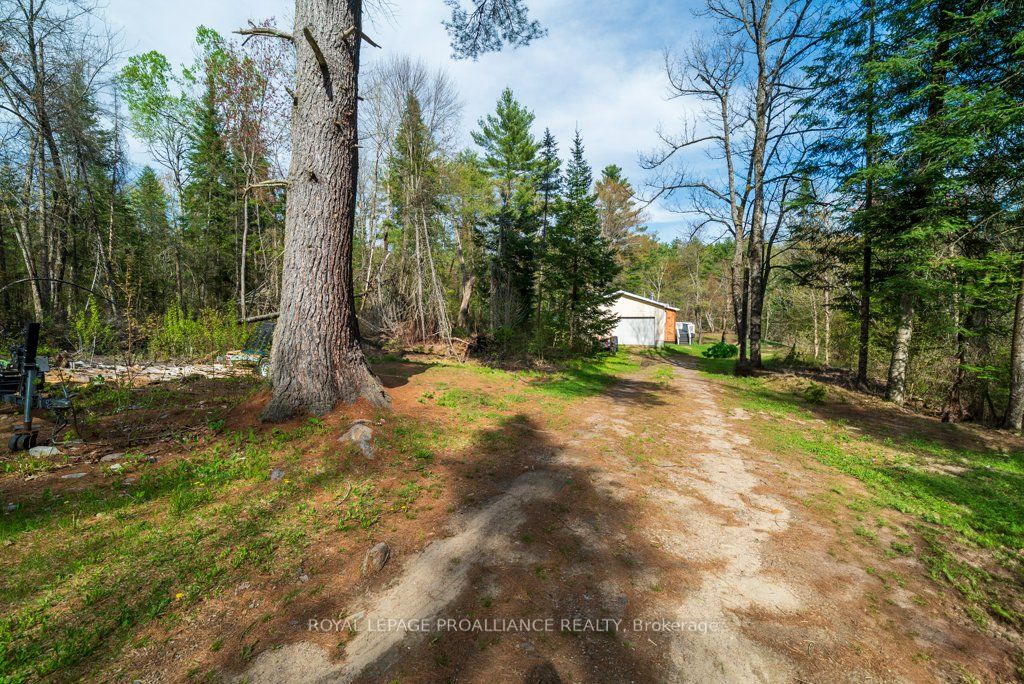 1058 Jacques Bay Road Property Photo 43