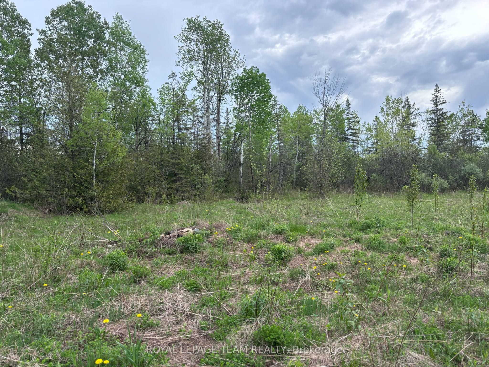 535 Beckwith Boundary Rd Property Photo