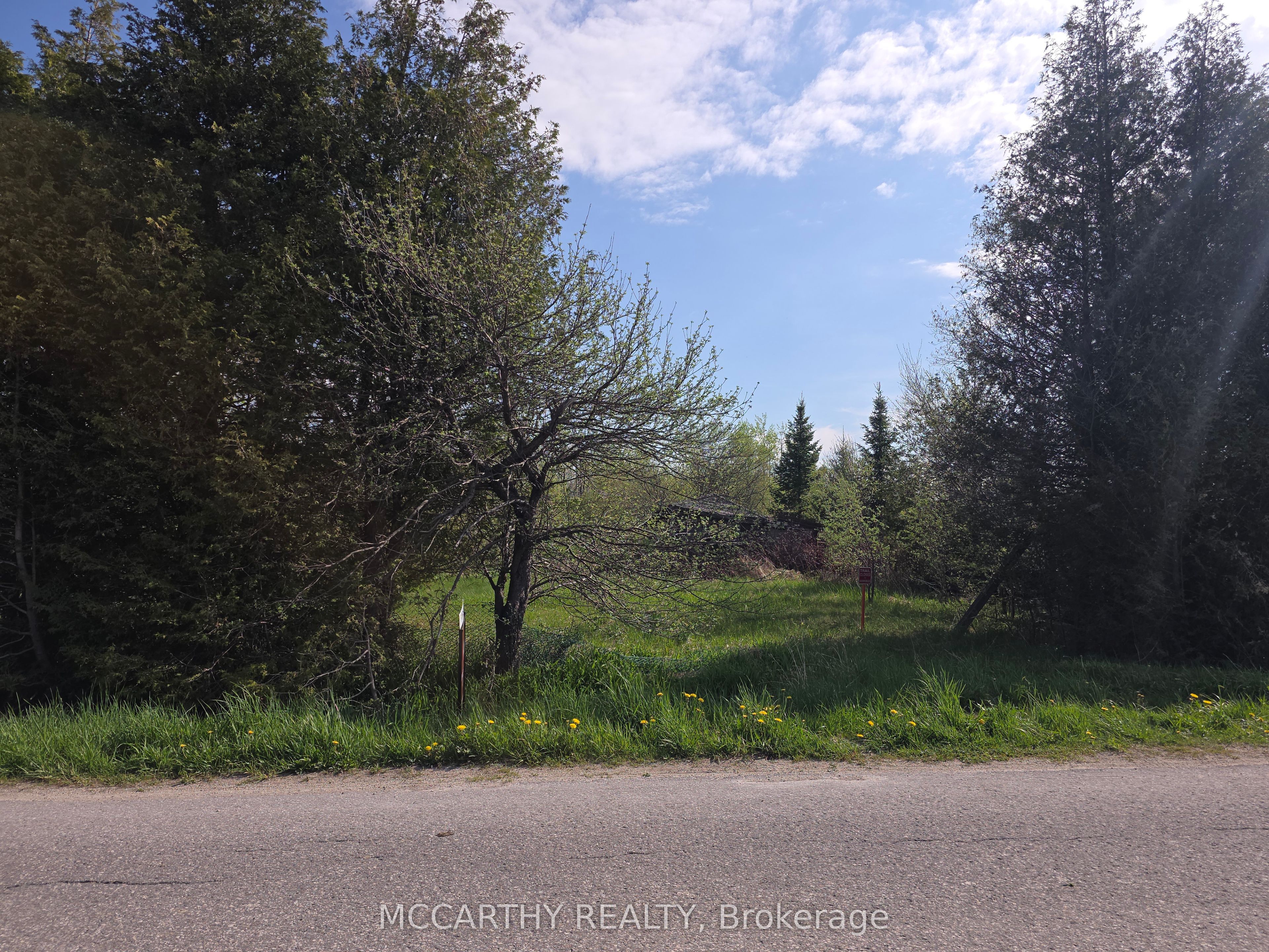 238527 4th Line Property Photo 2