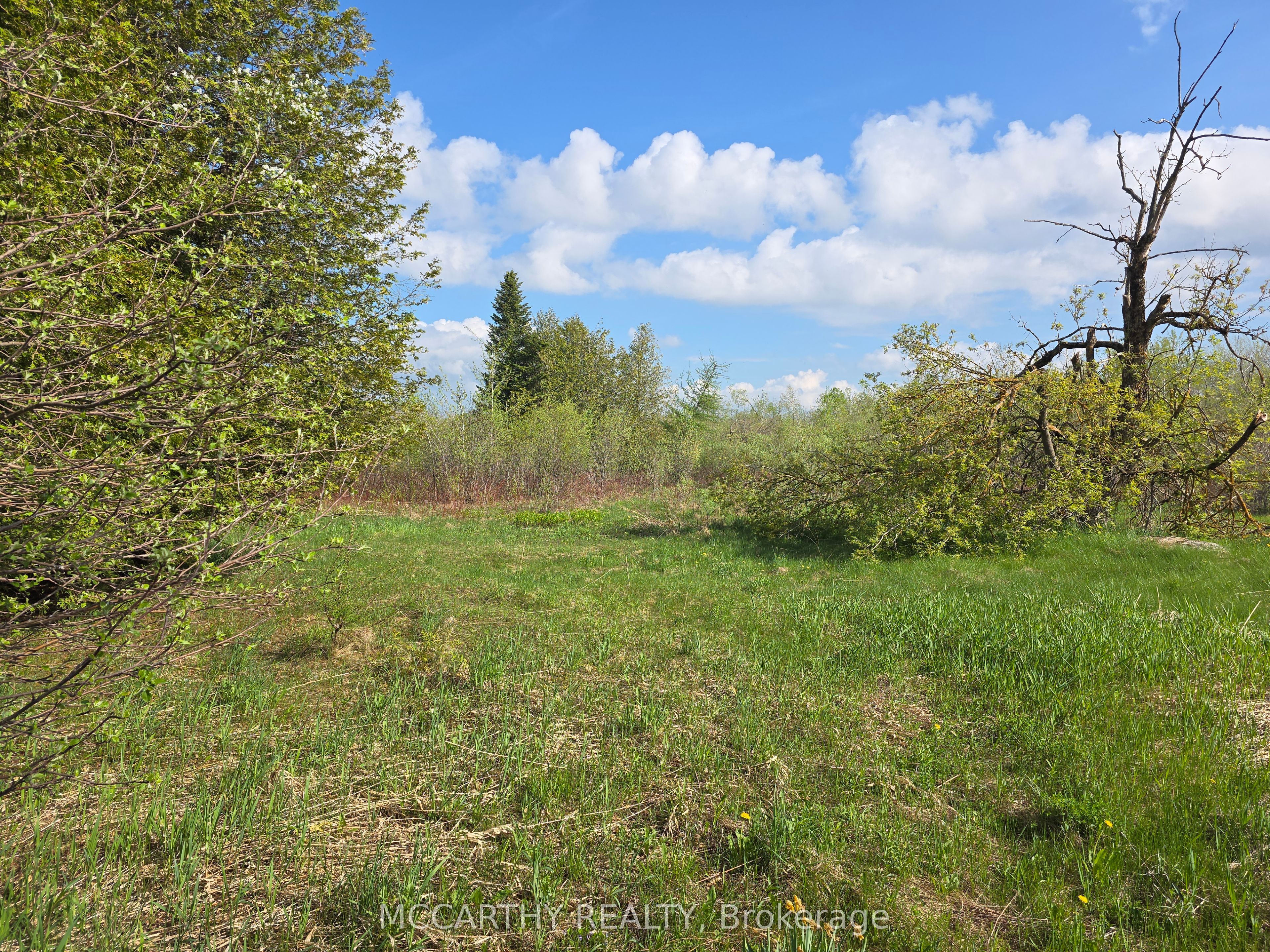 238527 4th Line Property Photo 4