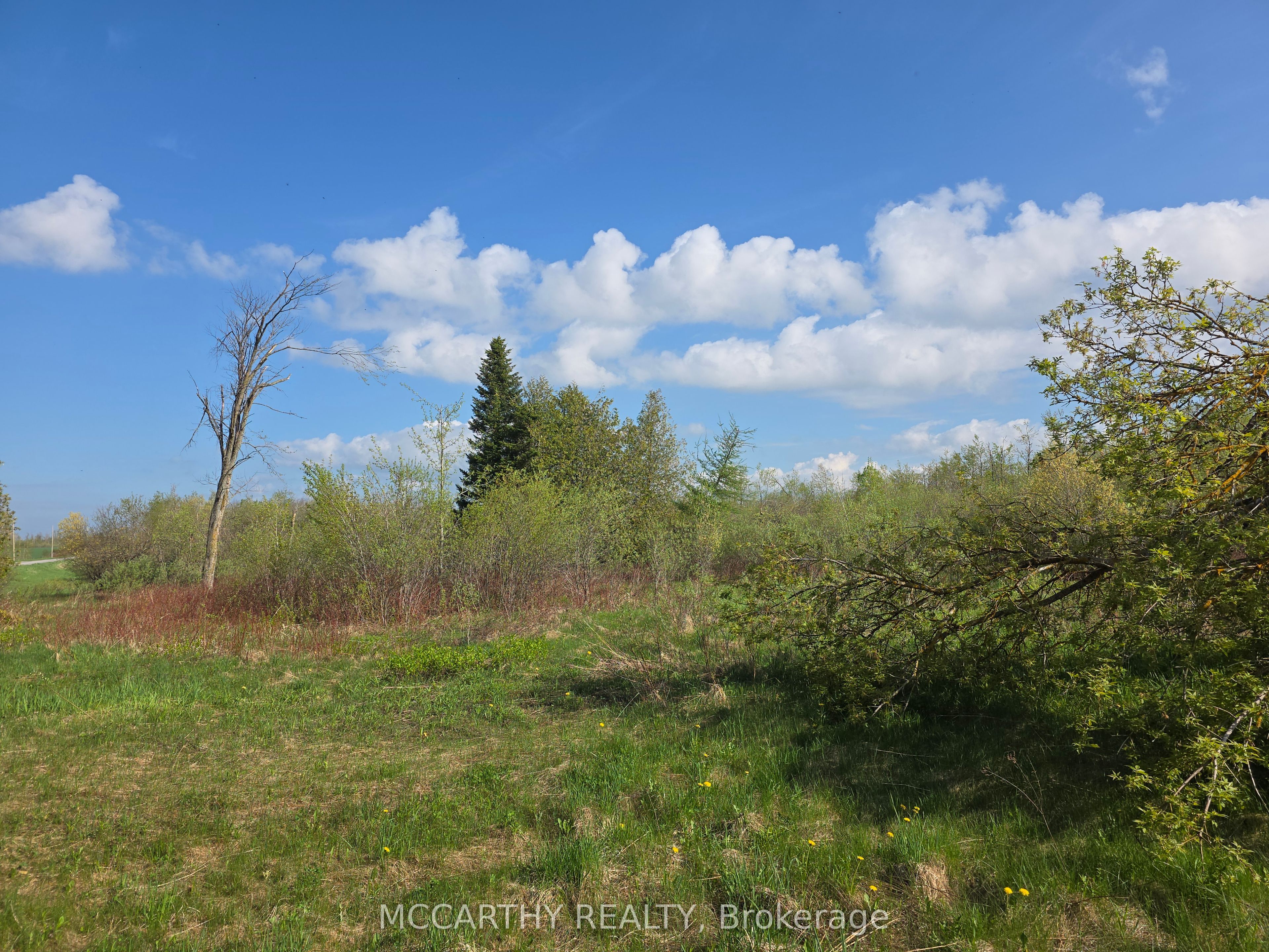 238527 4th Line Property Photo 5