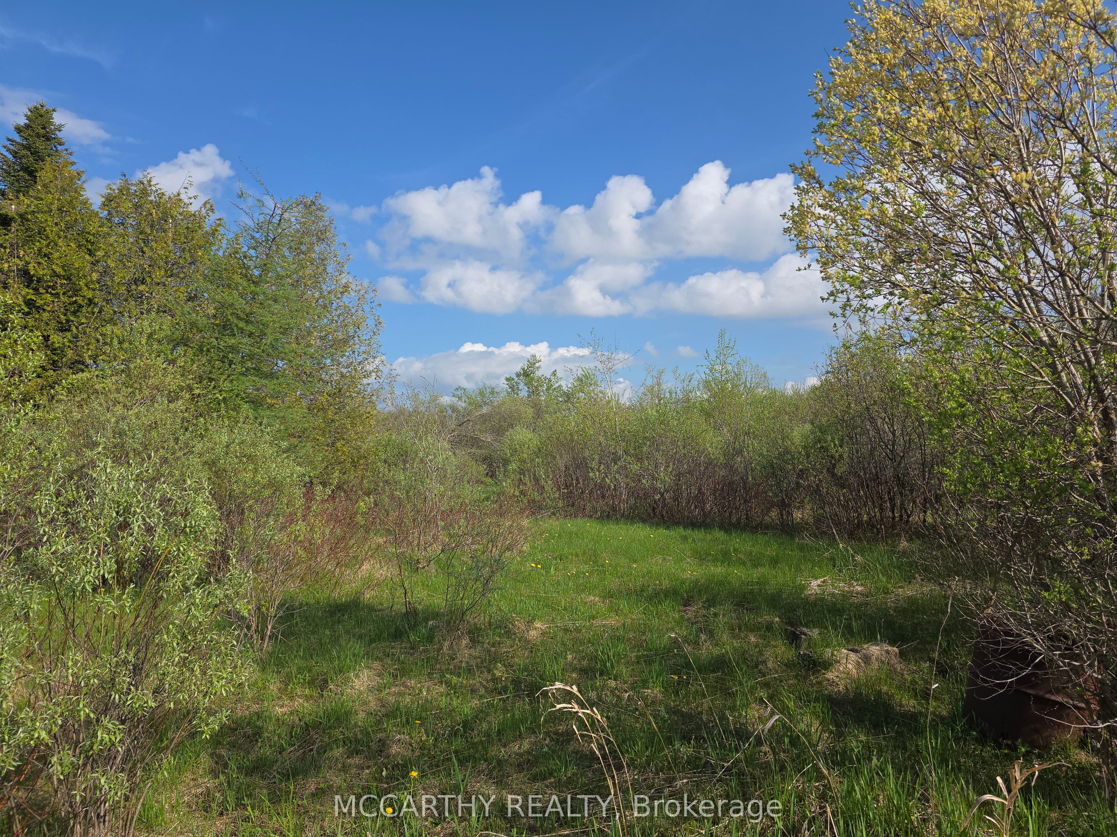 238527 4th Line Property Photo 6