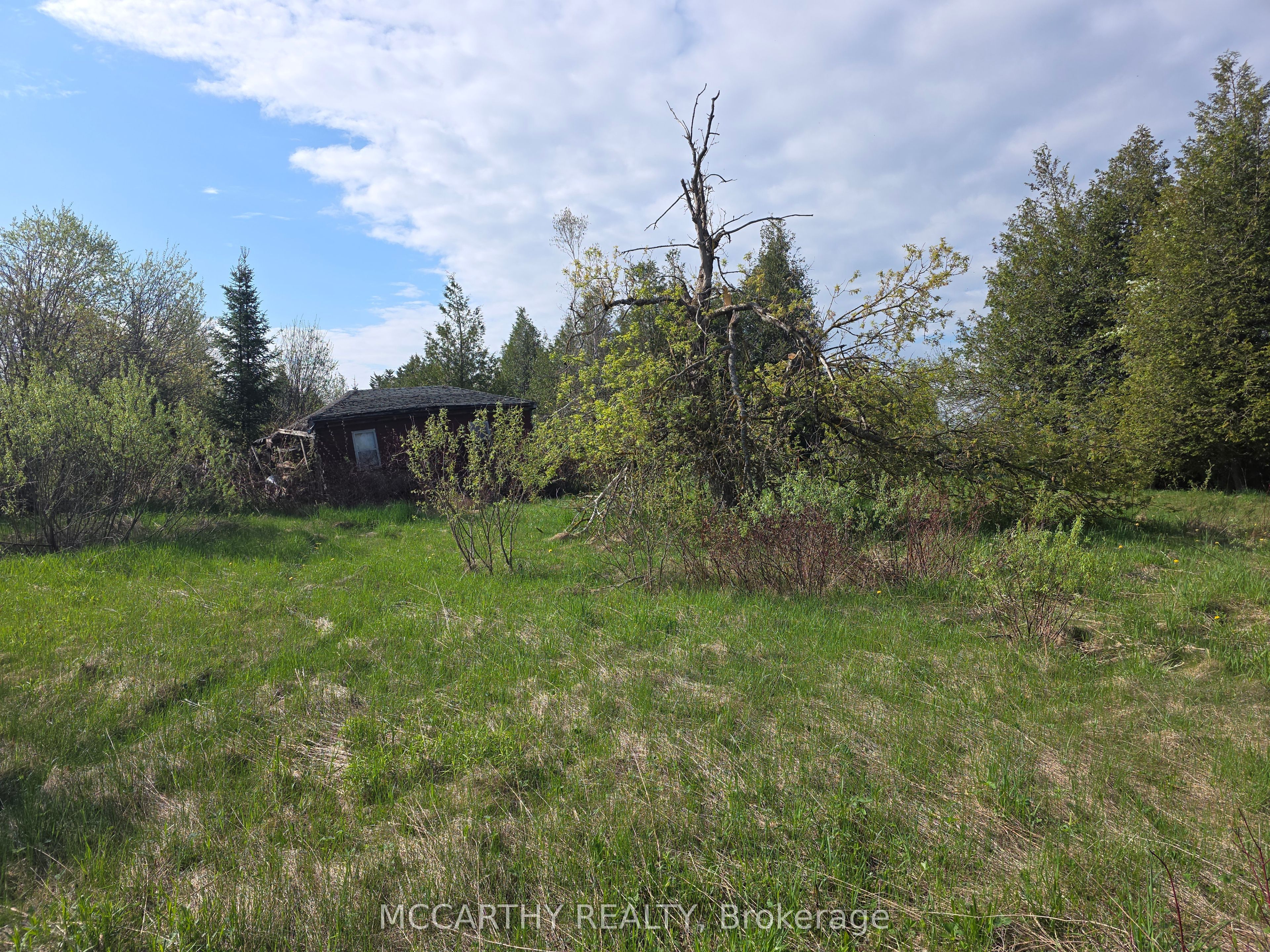 238527 4th Line Property Photo 7