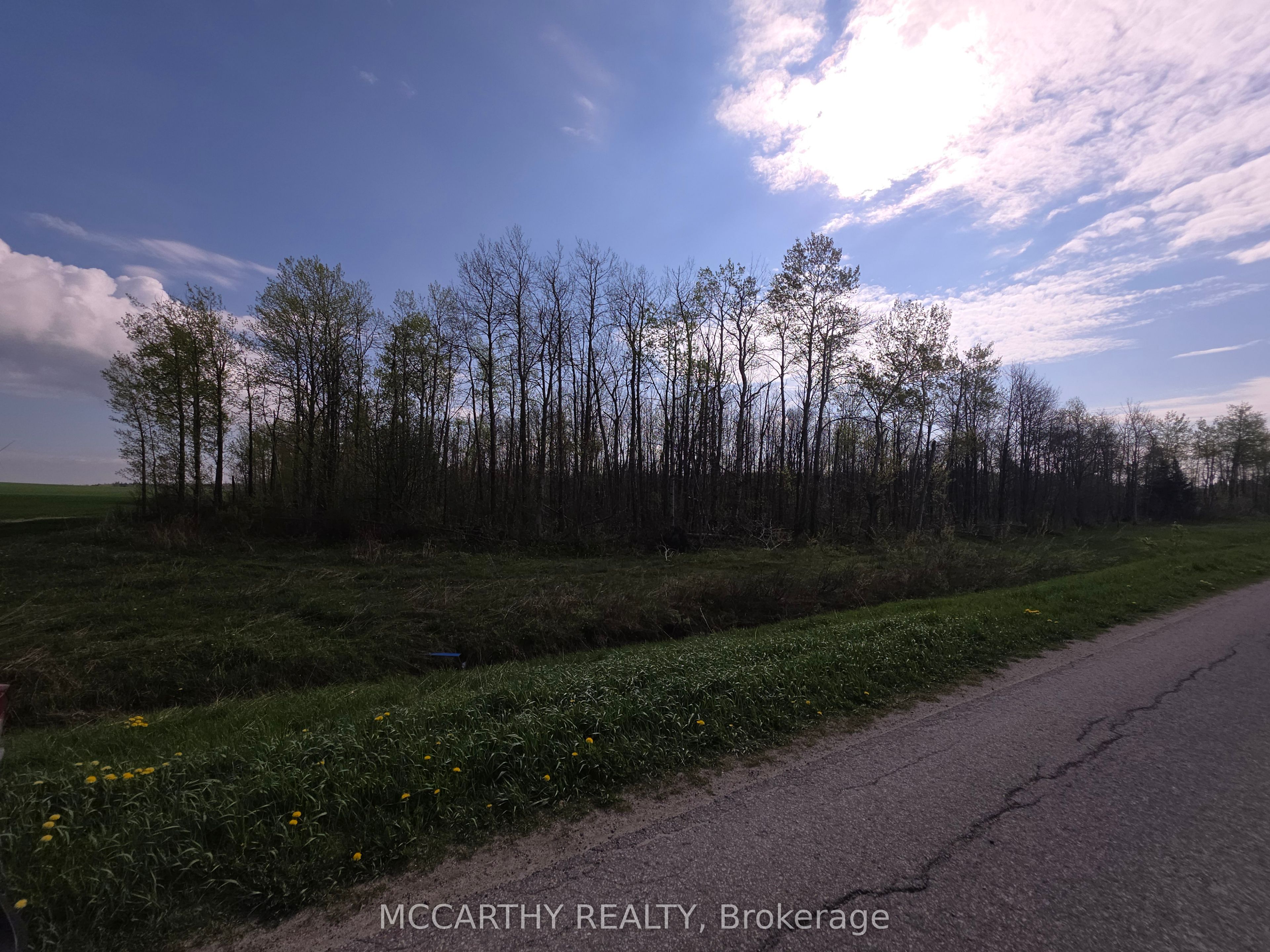 238527 4th Line Property Photo 12