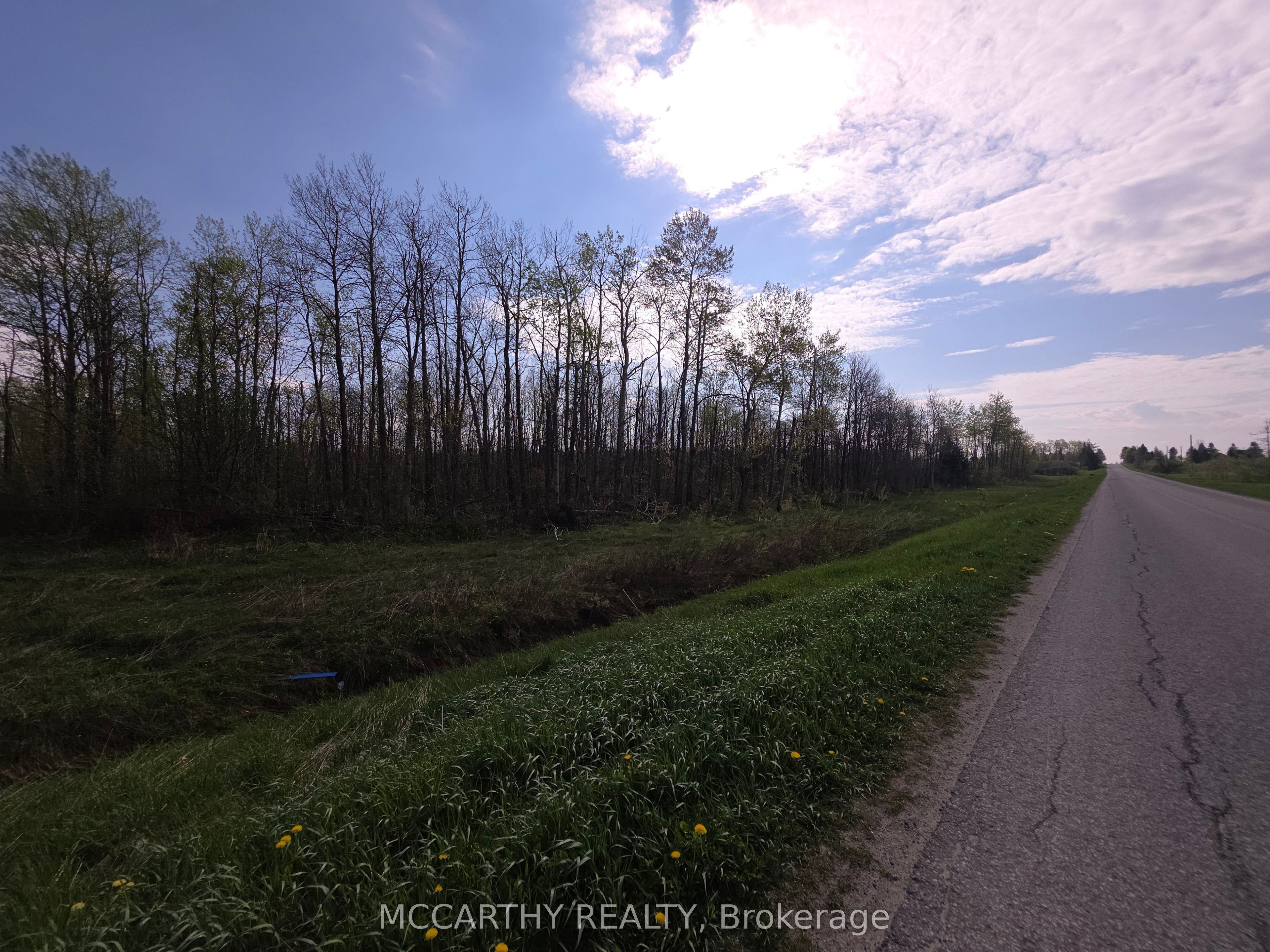 238527 4th Line Property Photo 13