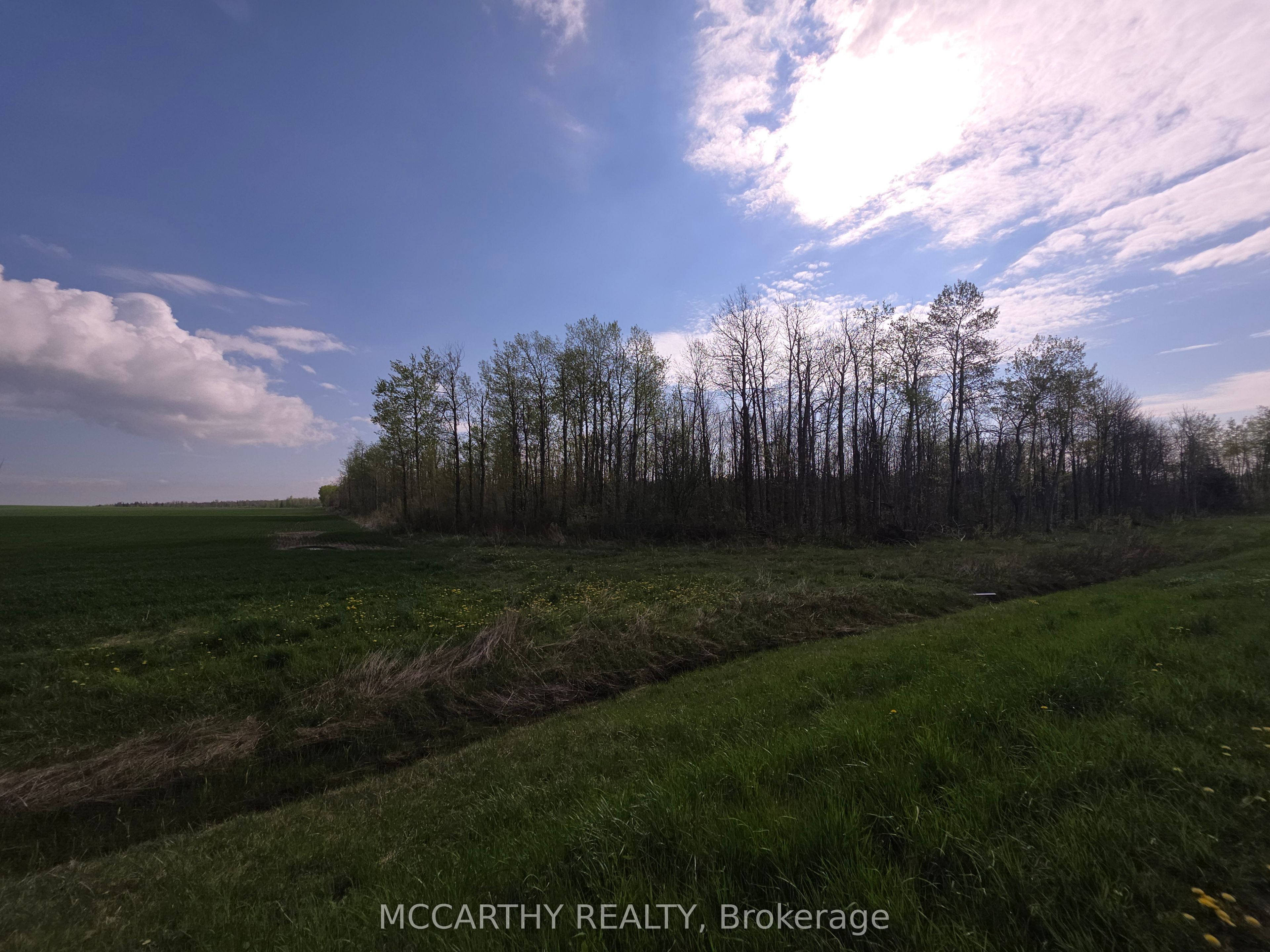 238527 4th Line Property Photo 15