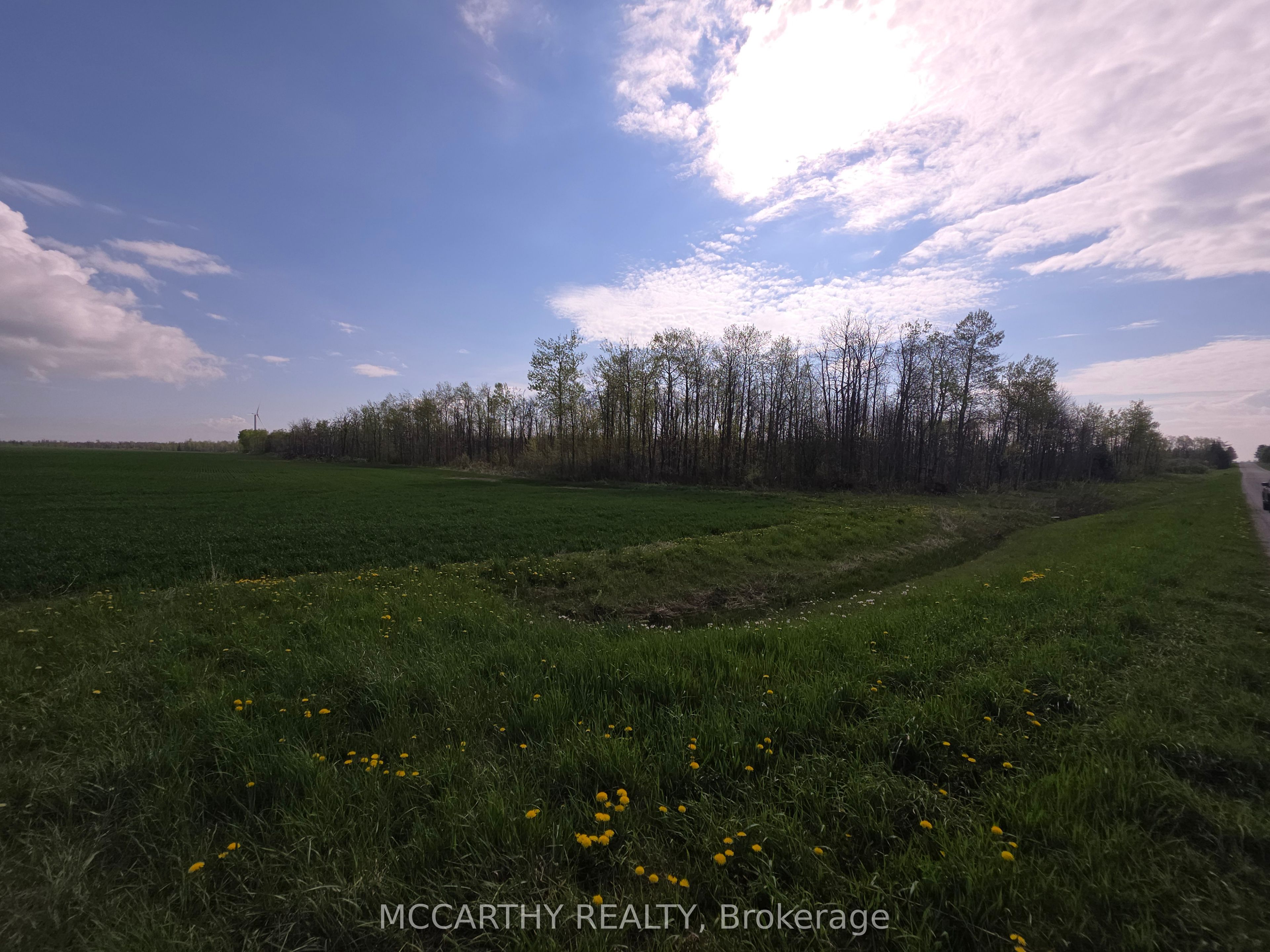 238527 4th Line Property Photo 17