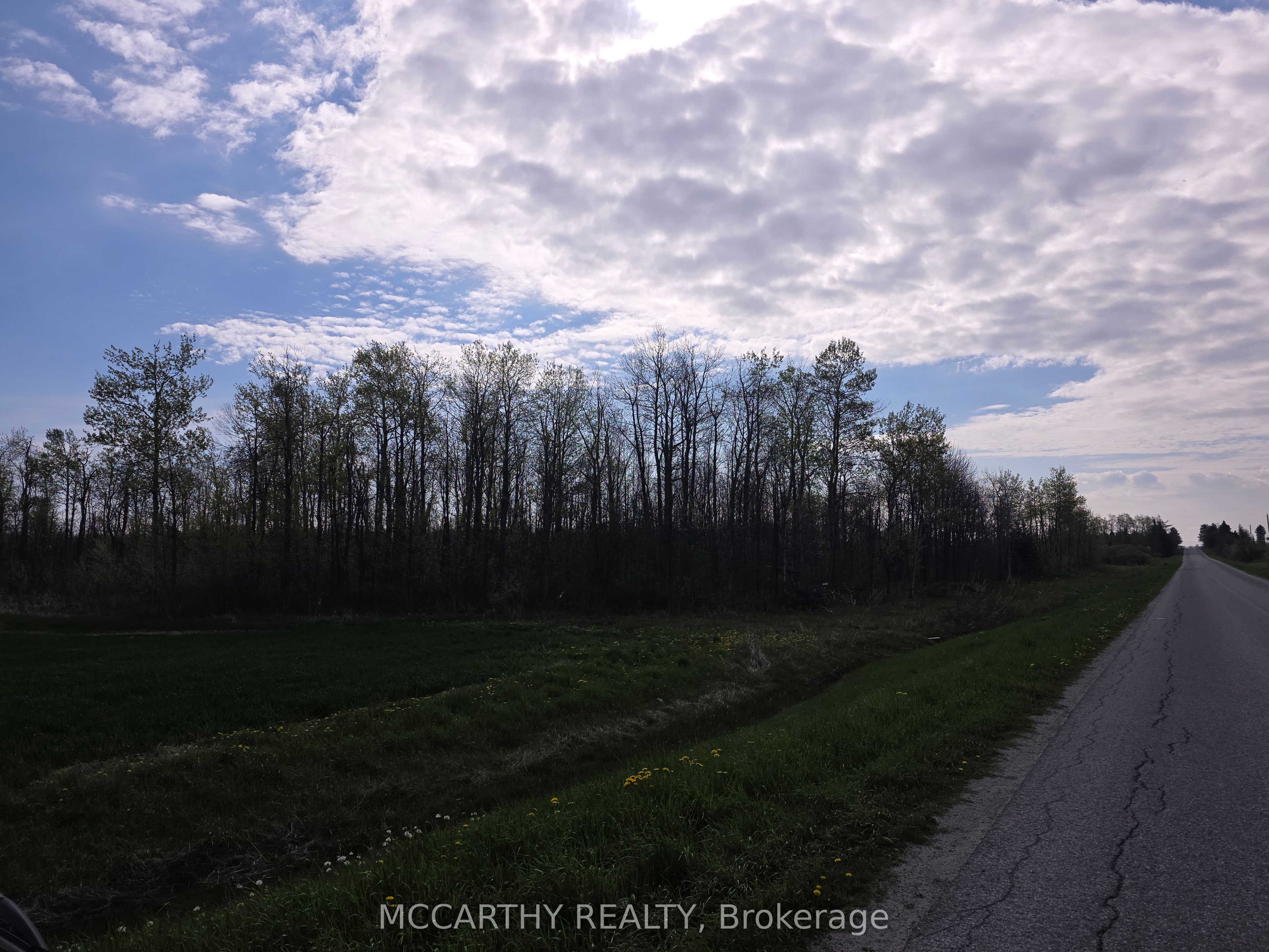 238527 4th Line Property Photo 18