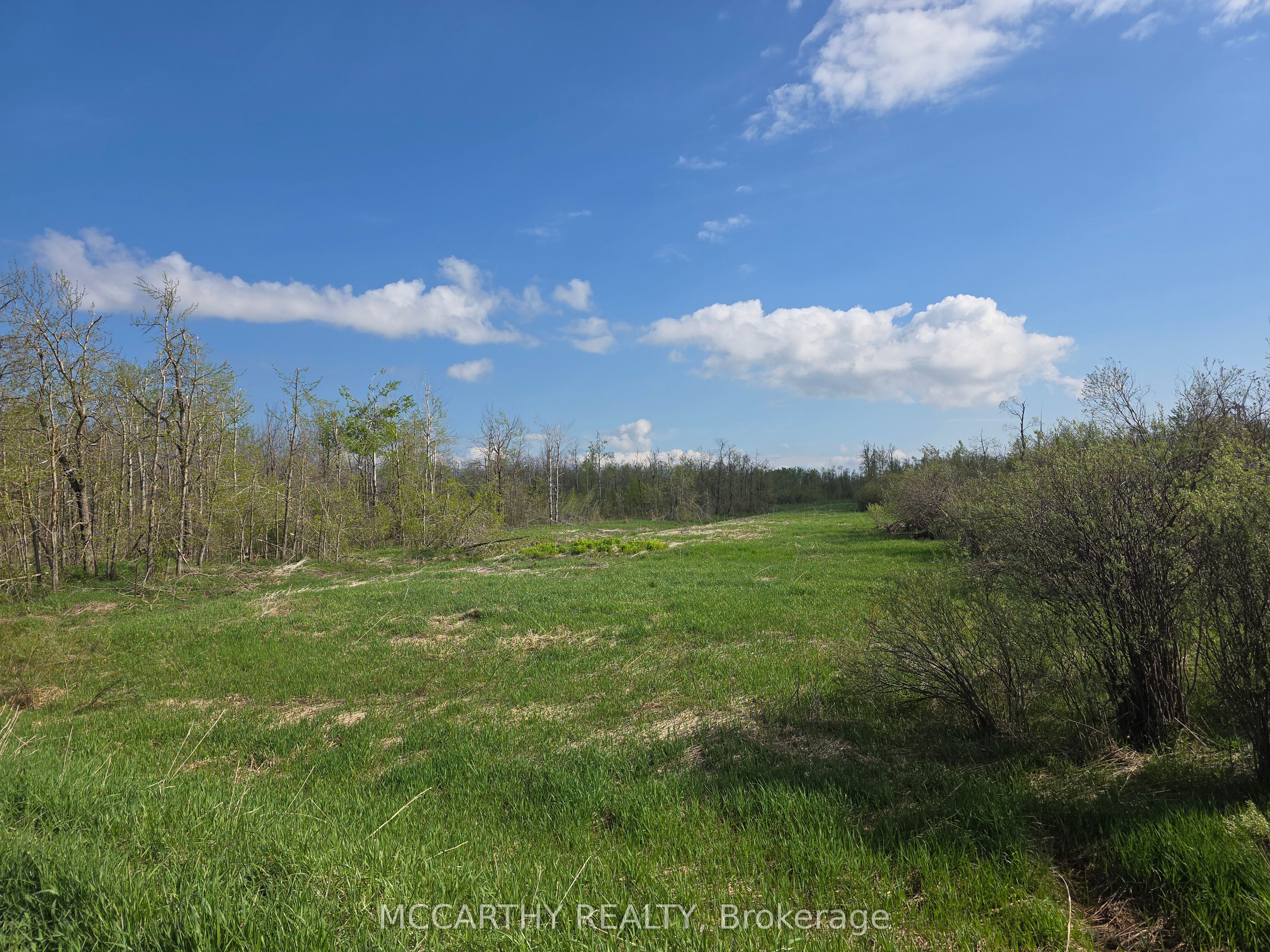 238527 4th Line Property Photo 21