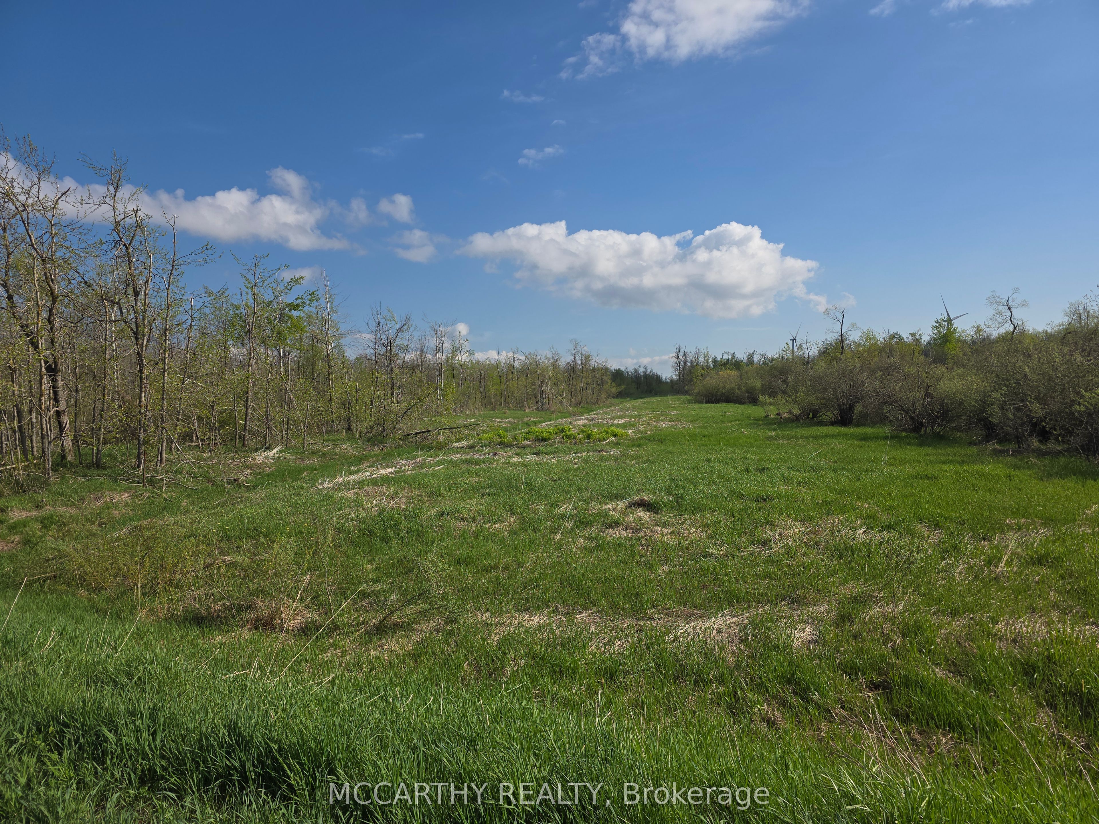 238527 4th Line Property Photo 22