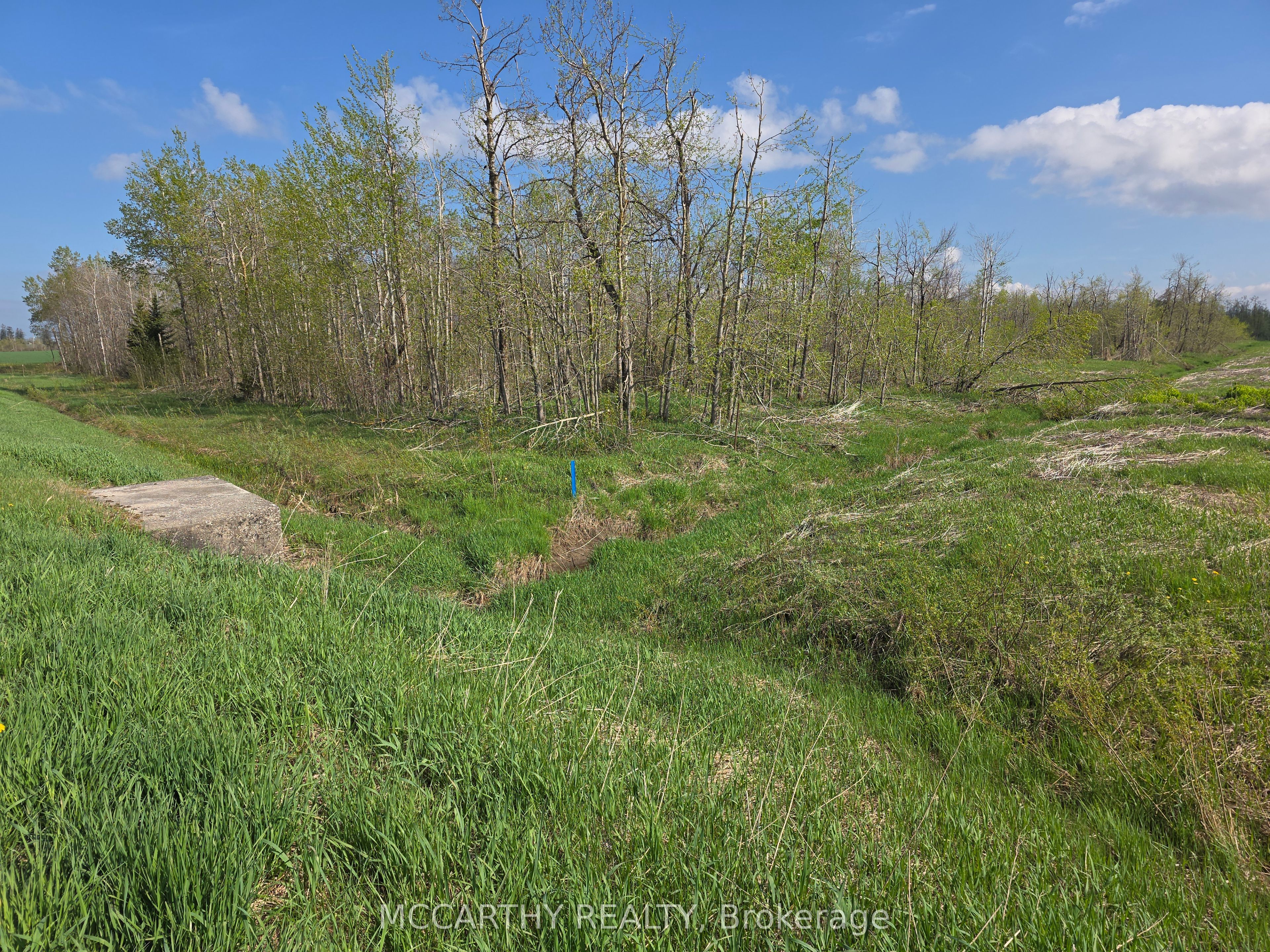 238527 4th Line Property Photo 23