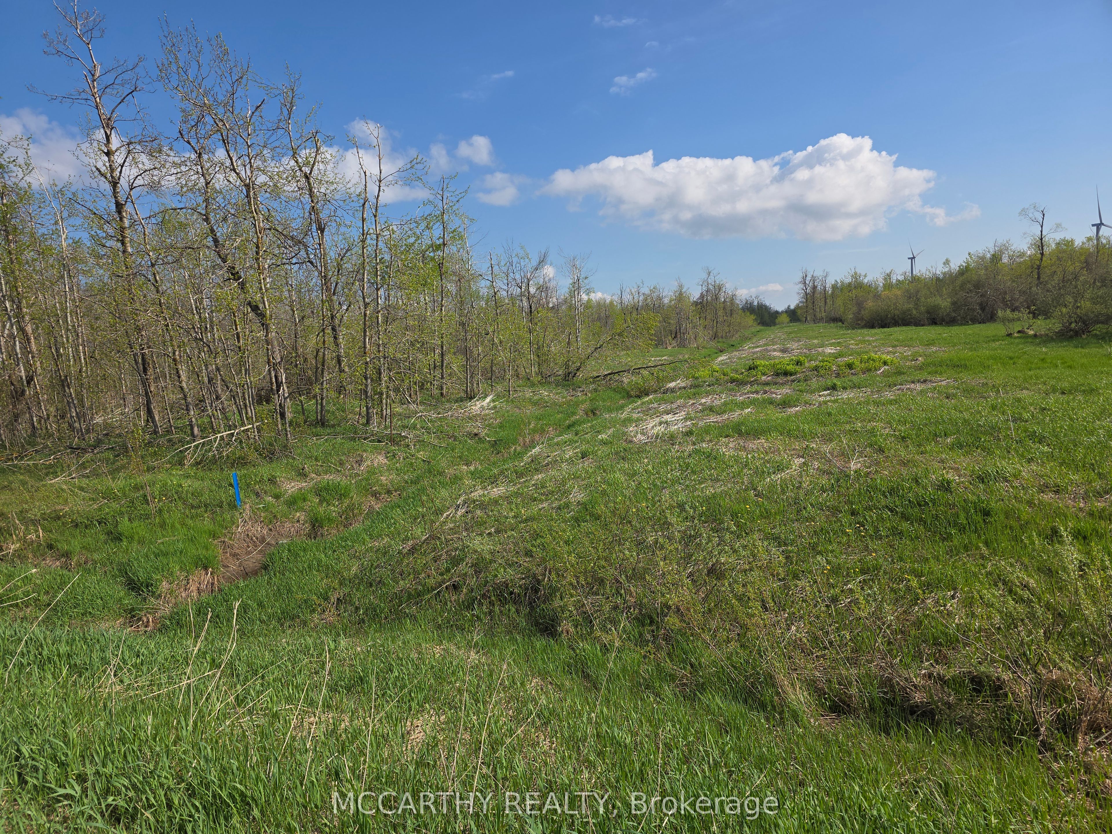 238527 4th Line Property Photo 24