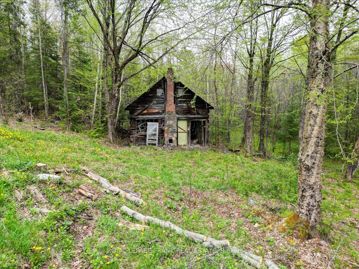1019 Anderson Road Property Photo 35