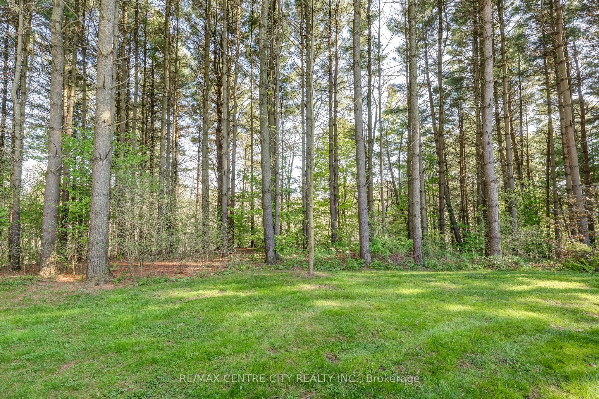 35035 Lake Line Property Photo 11