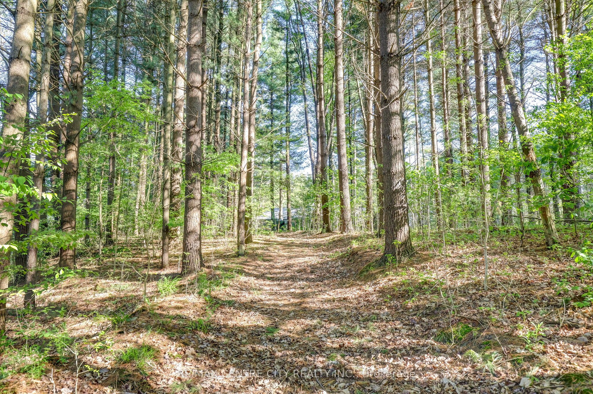 35035 Lake Line Property Photo 18