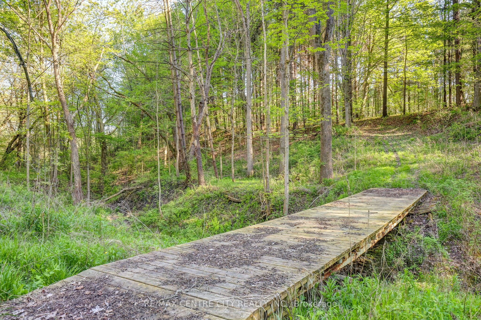 35035 Lake Line Property Photo 20
