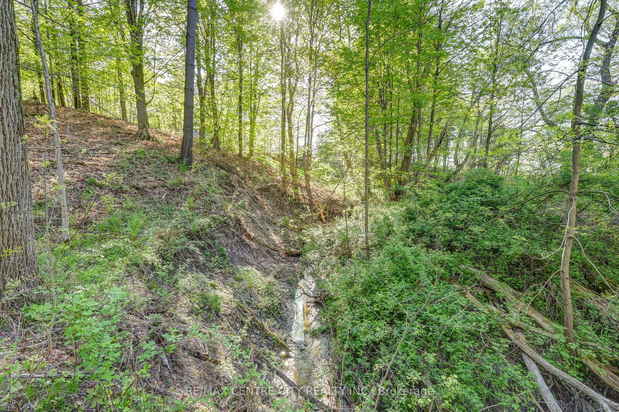 35035 Lake Line Property Photo 21