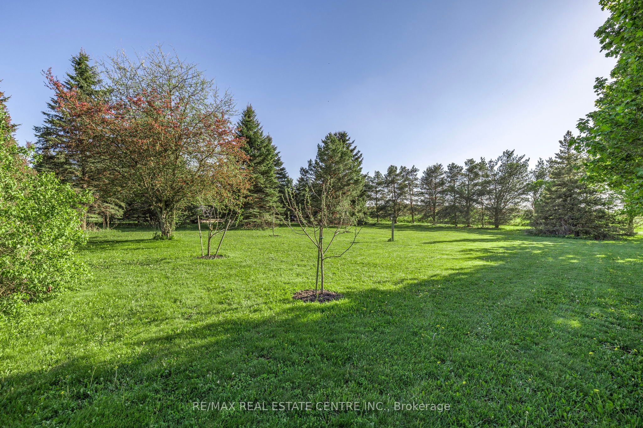 74019 24 - 25 Side Road Property Photo 46