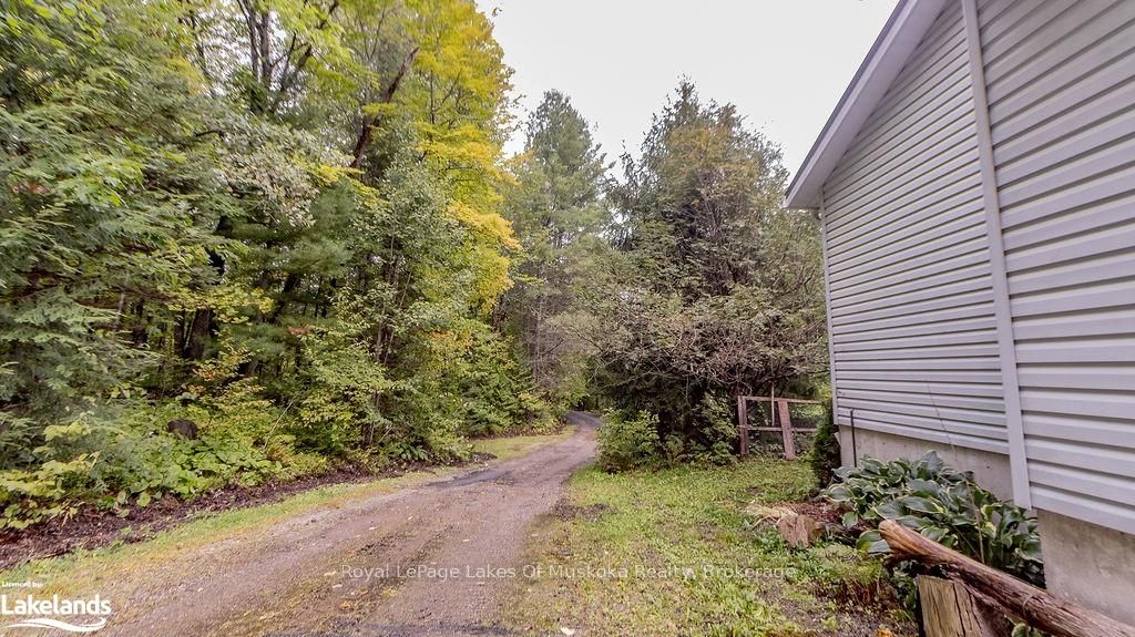 4244 Muskoka Road 117 N/a Property Photo 31