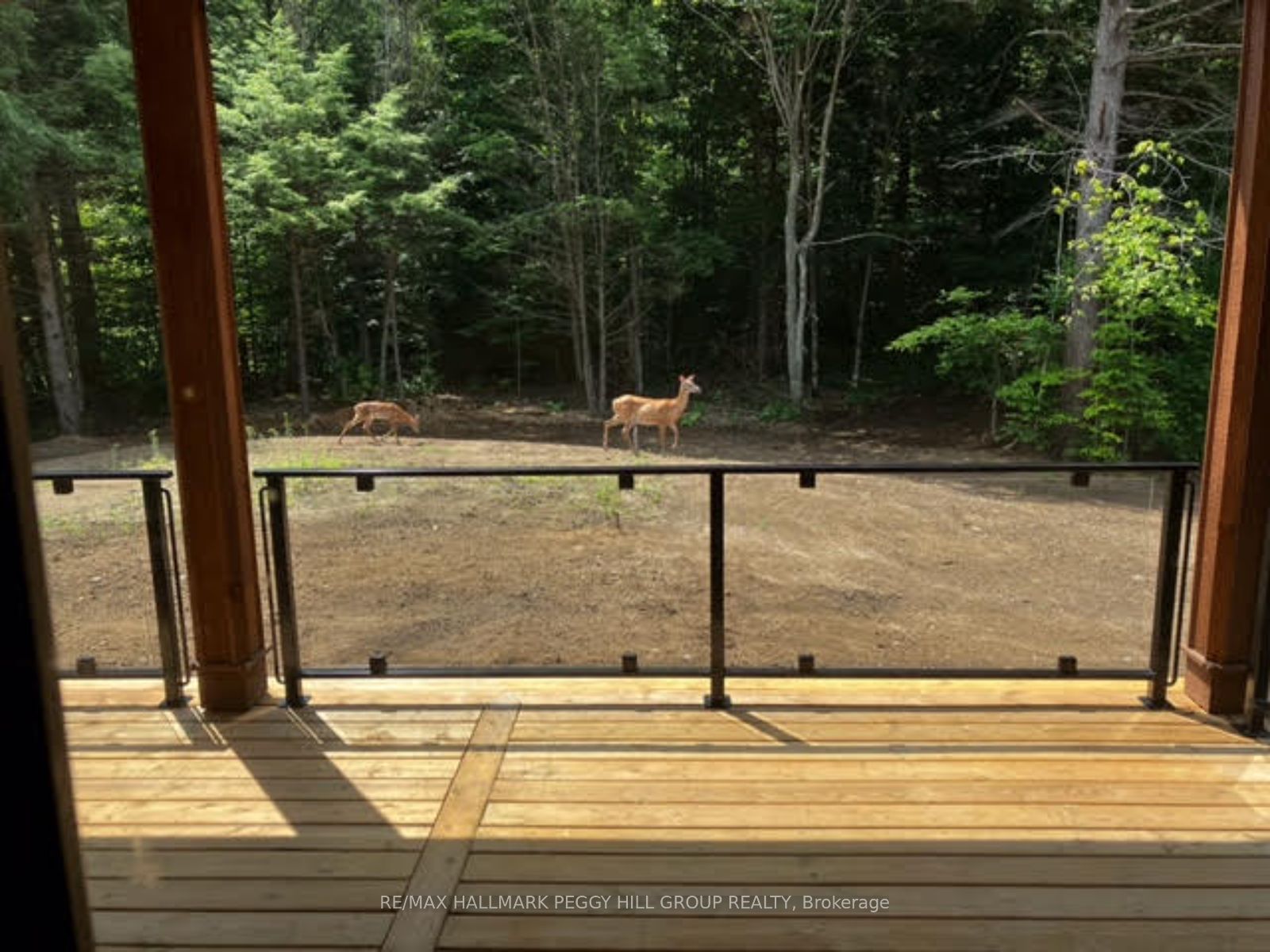 4571 Aspdin Road Property Photo 27