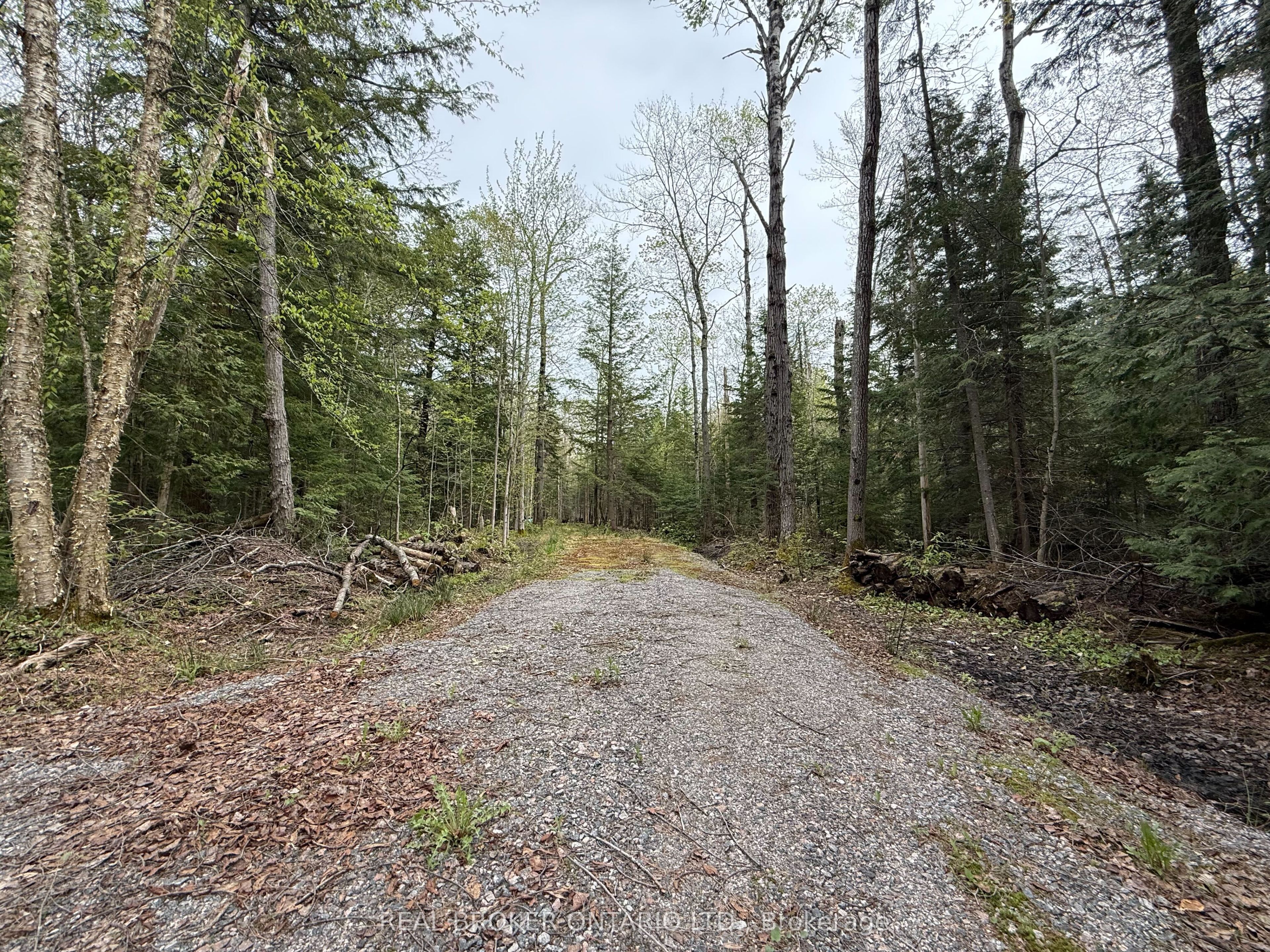 0 Bear Cave Road Property Photo 1