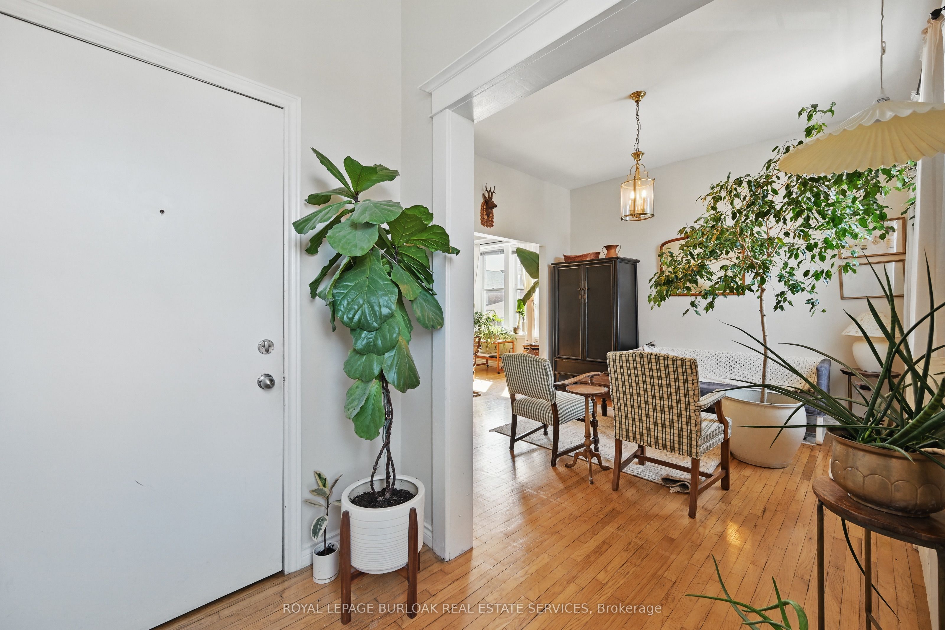 55 Barton Street Property Photo 4