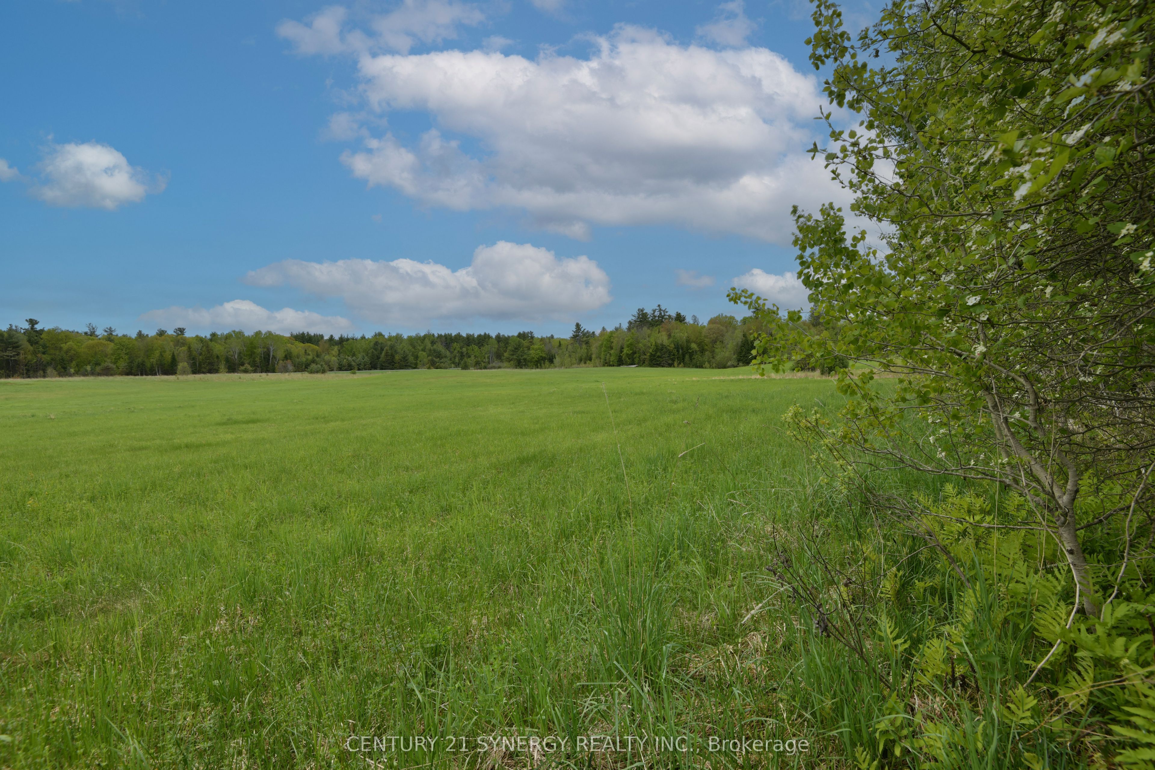 00 Milton Stewart Avenue Property Photo 17