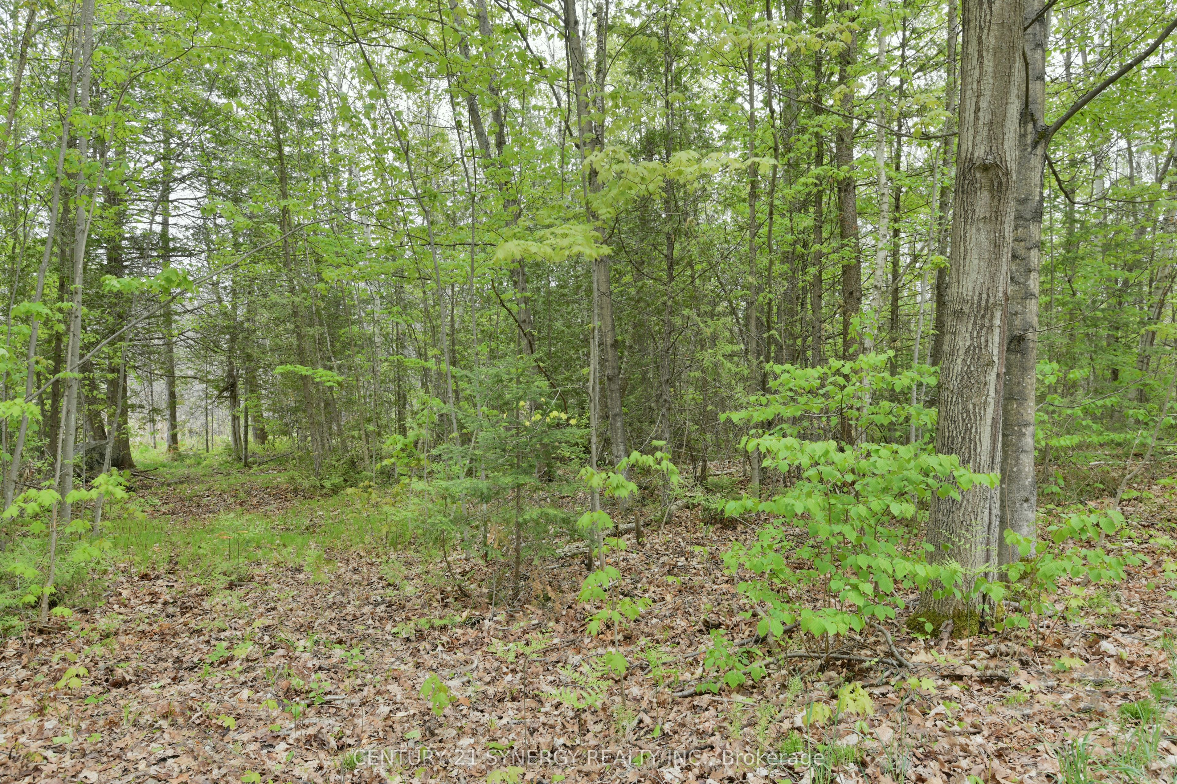 00 Milton Stewart Avenue Property Photo 19