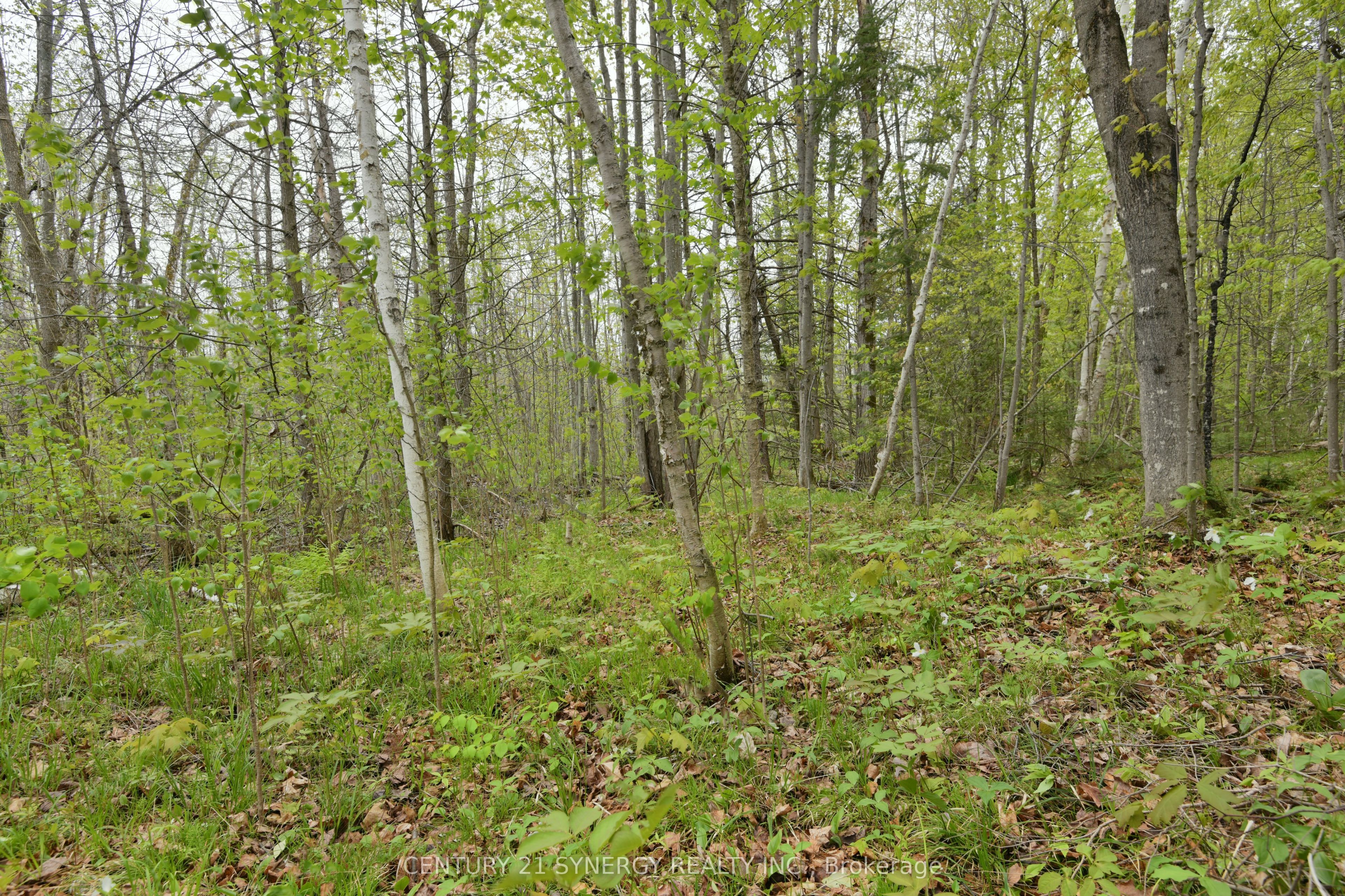 00 Milton Stewart Avenue Property Photo 20