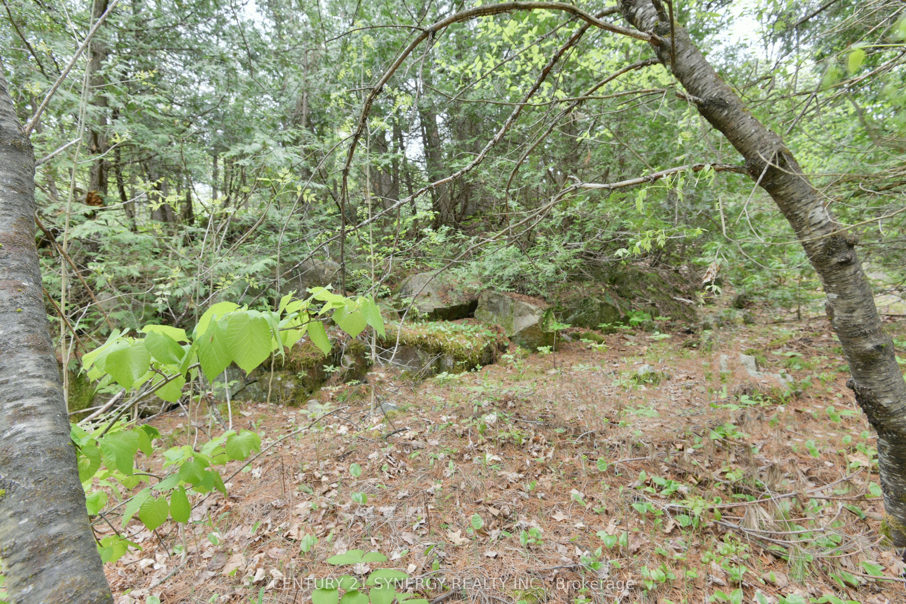 00 Milton Stewart Avenue Property Photo 21