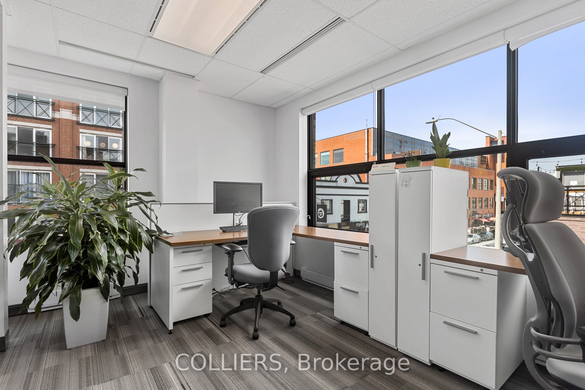 24 Clarence Street Property Photo 6