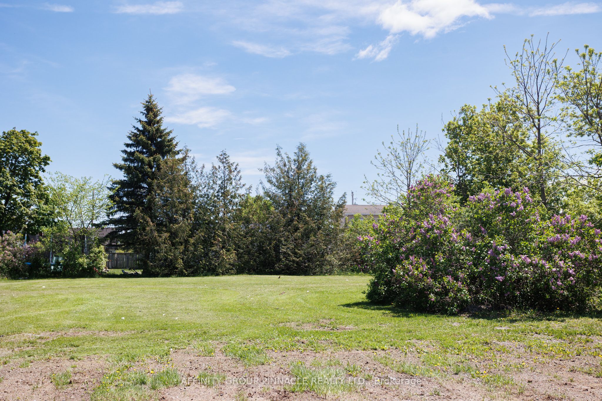 65 Lindsay Street Property Photo 21