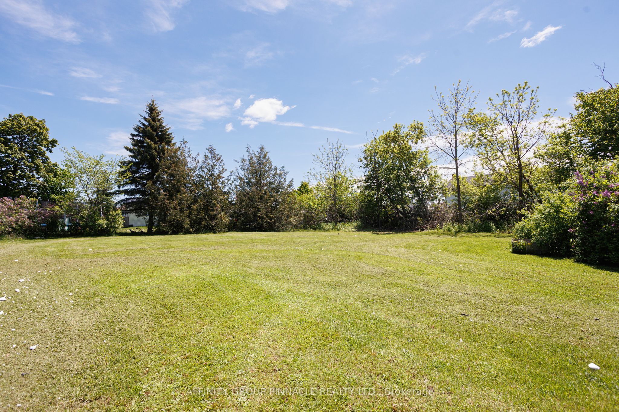 65 Lindsay Street Property Photo 25