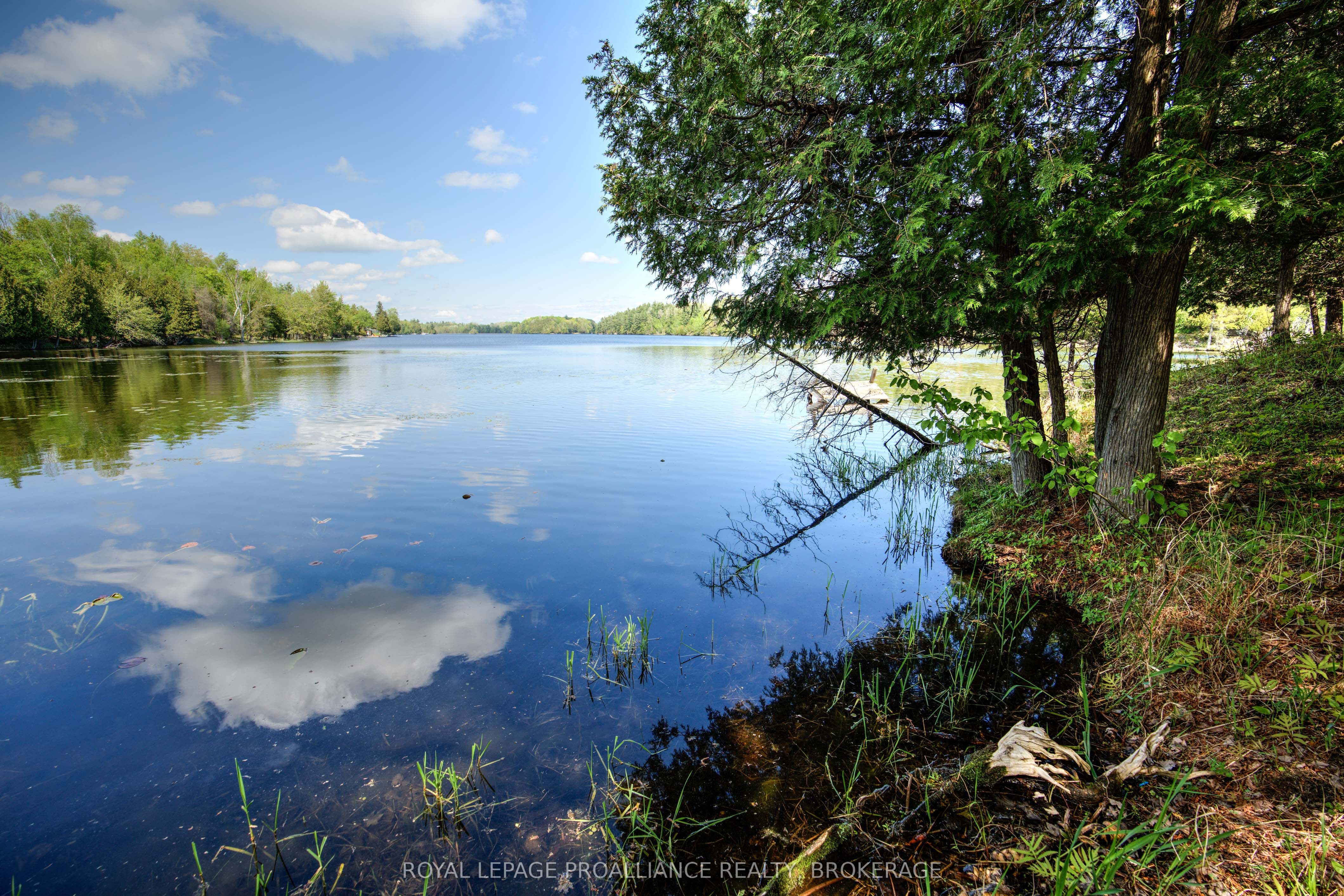 124 Granite Hills Property Photo 46