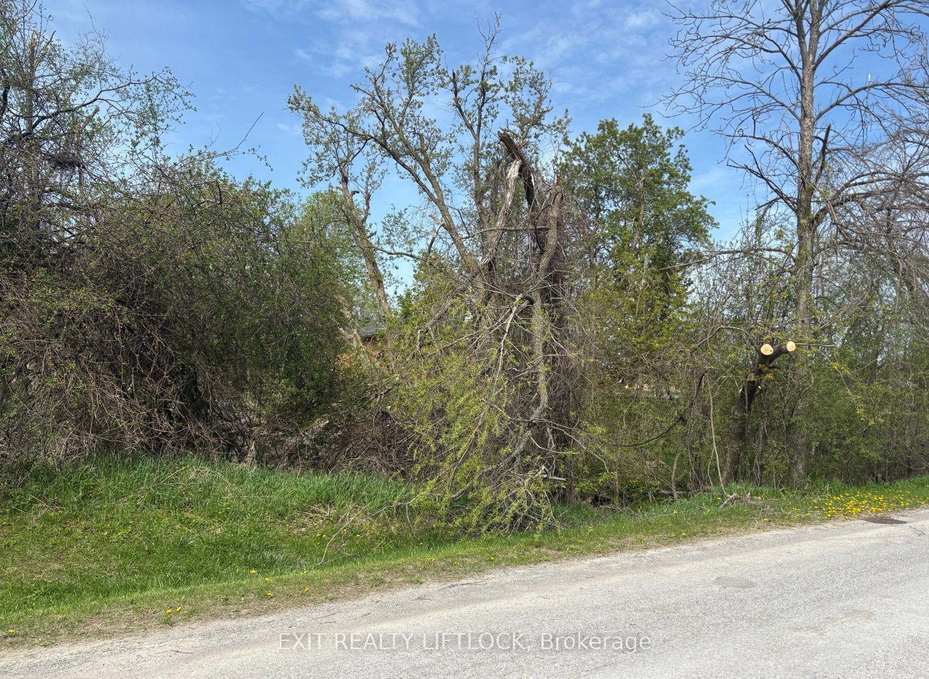 0 Maple Ridge Drive Property Photo