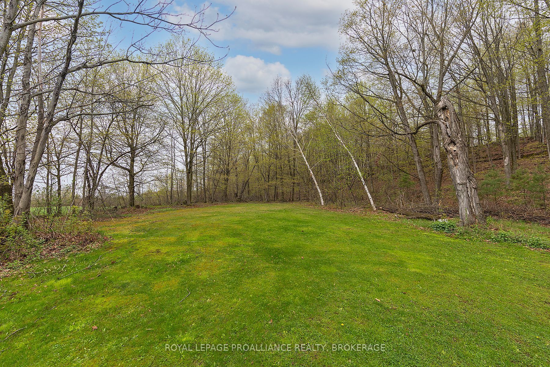 2291 Sands Road Property Photo 13
