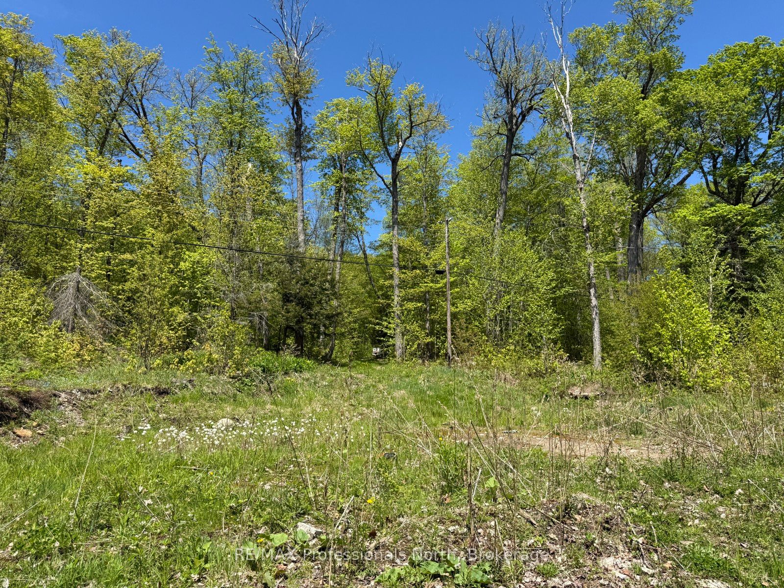 2612 Wilkinson Rd Property Photo 4