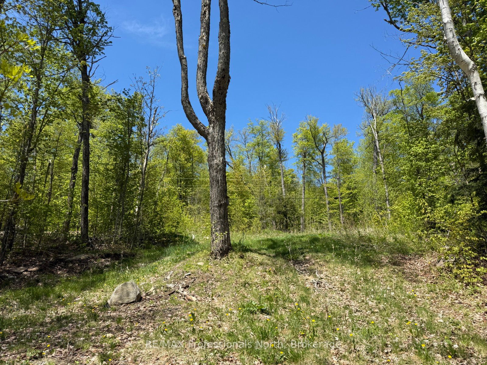 2612 Wilkinson Rd Property Photo 6