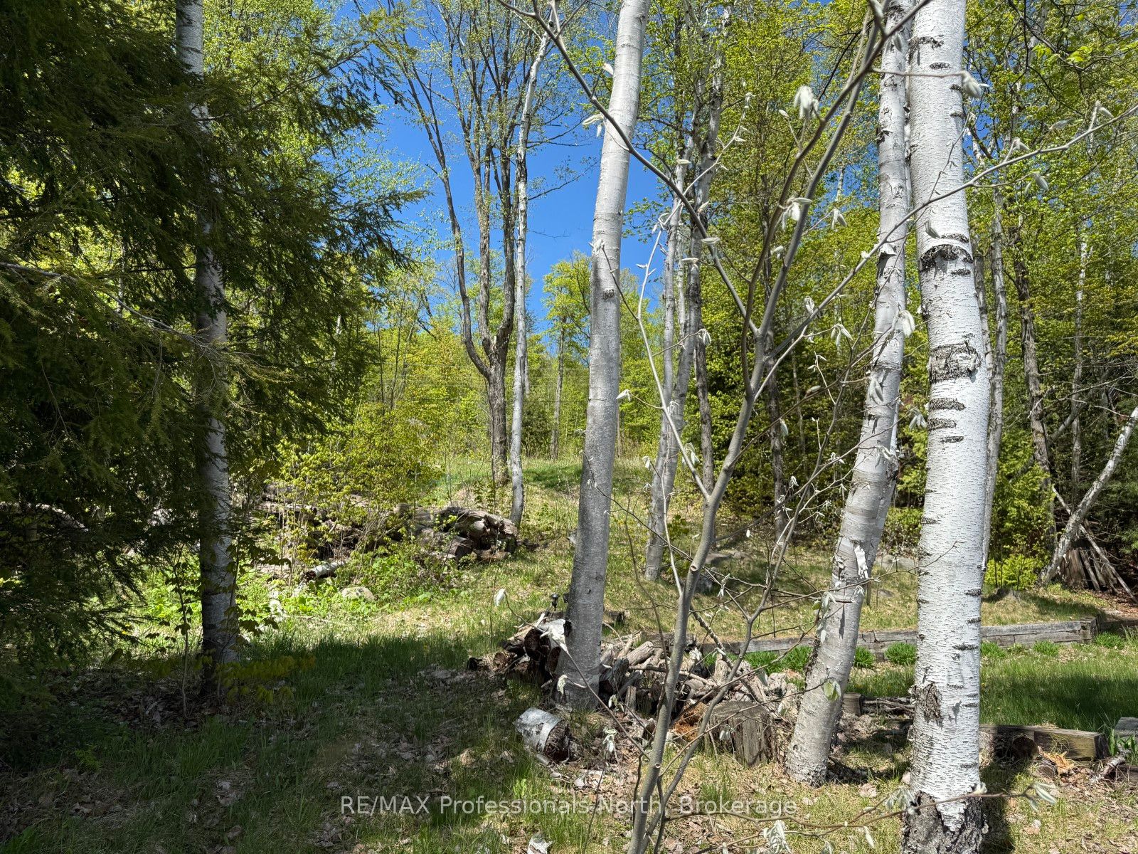 2612 Wilkinson Rd Property Photo 10