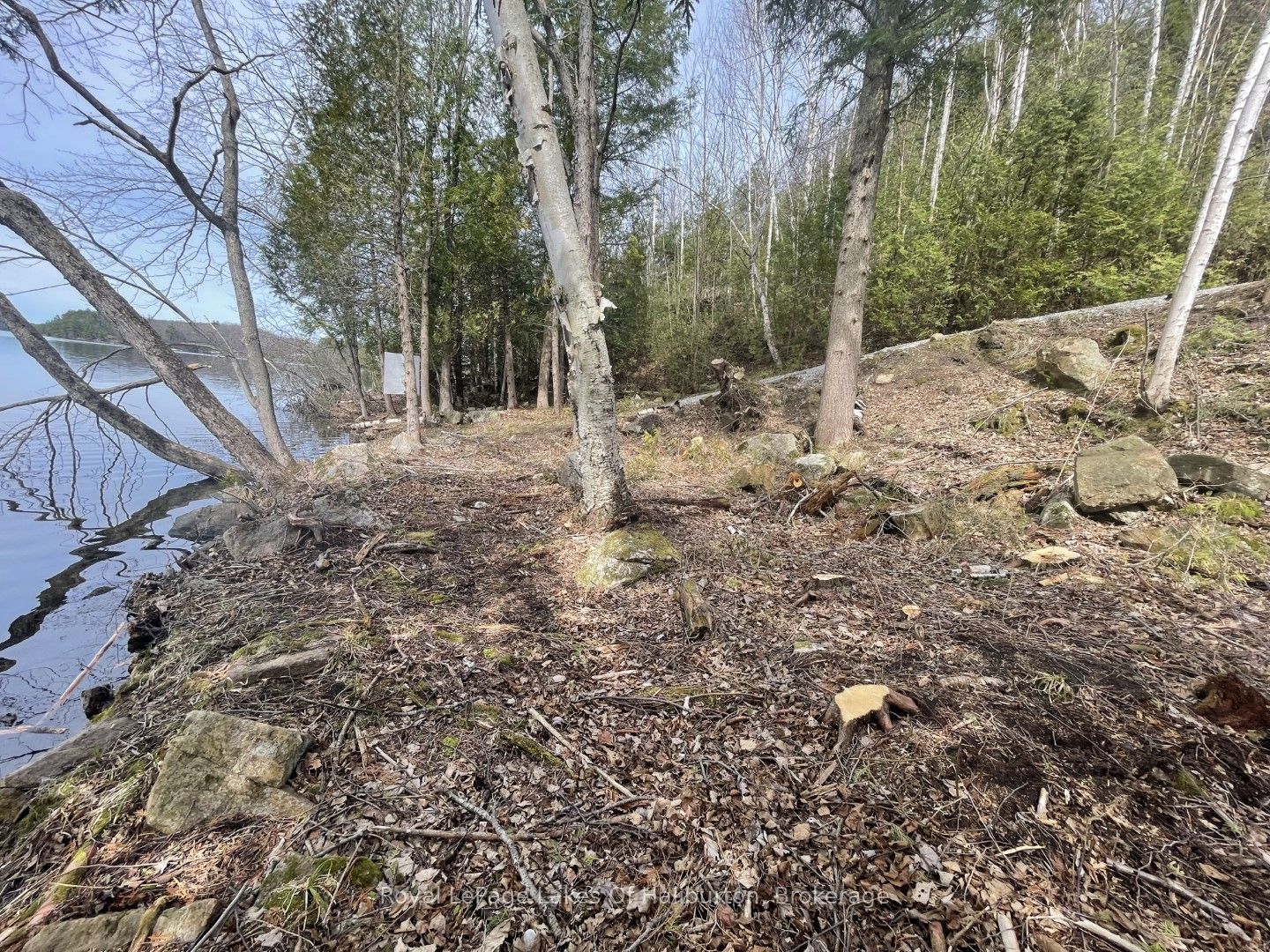 0 Starlight Road Property Photo 4