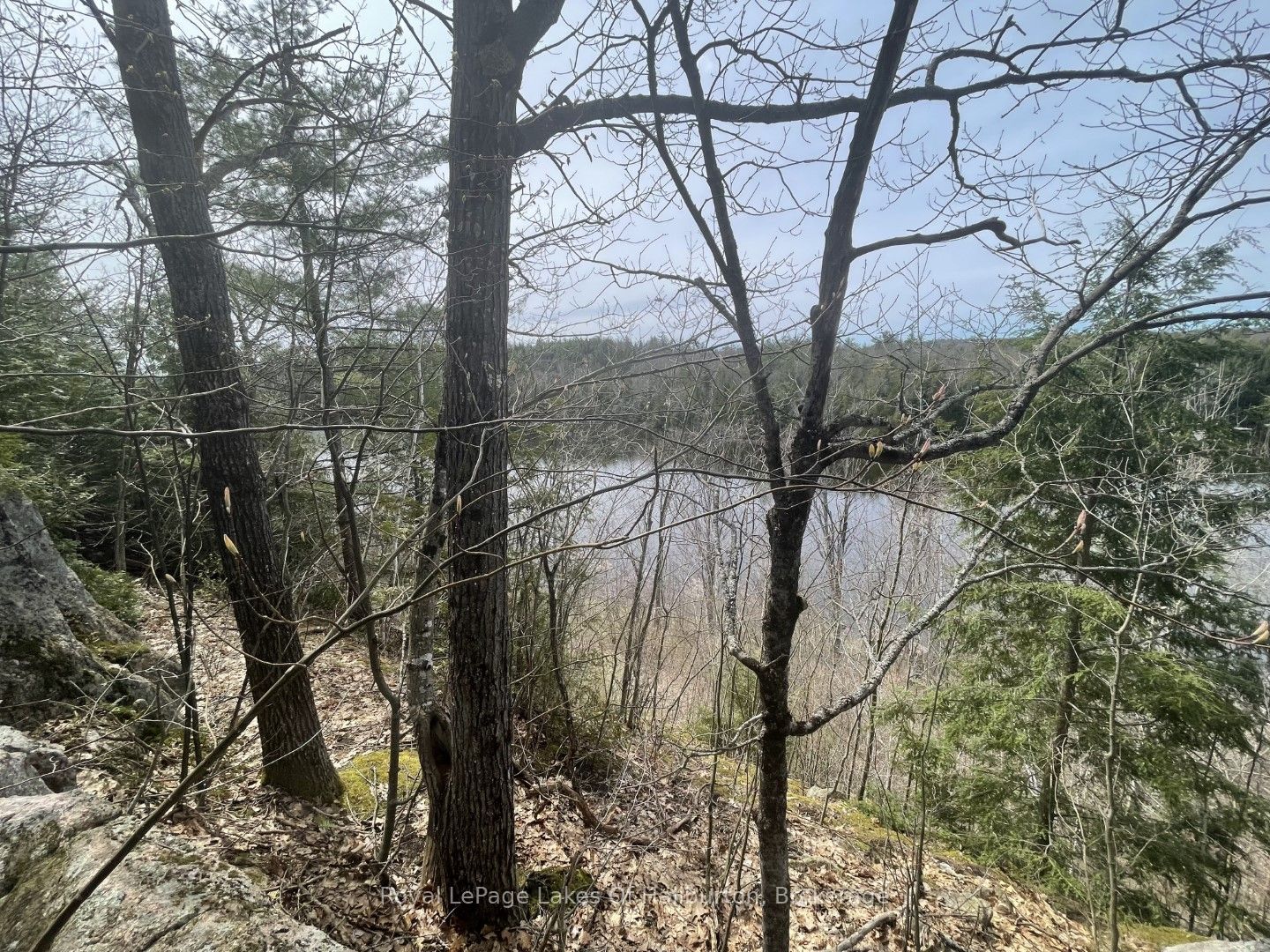 0 Starlight Road Property Photo 14